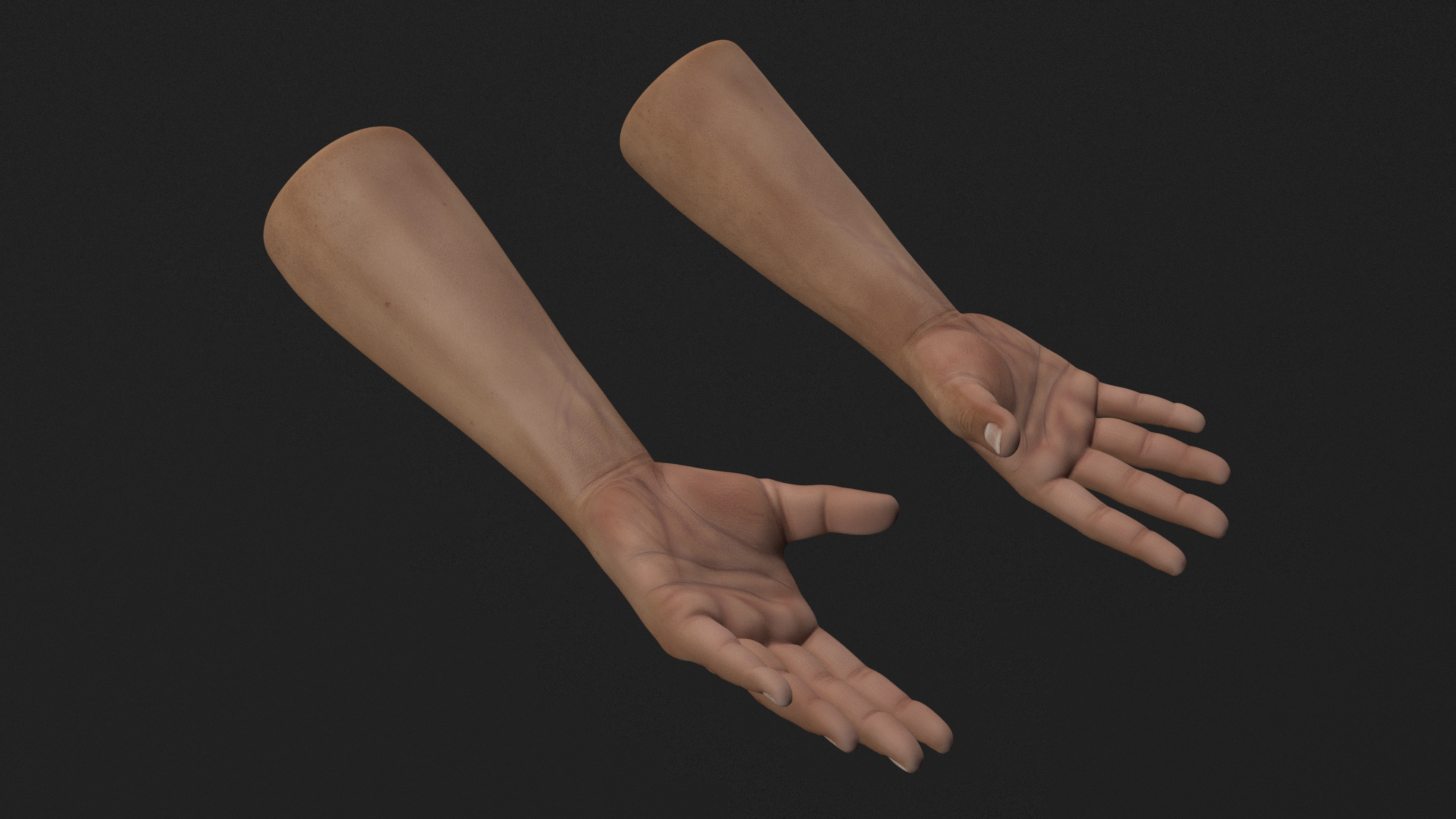 3D Man Hands Rigged