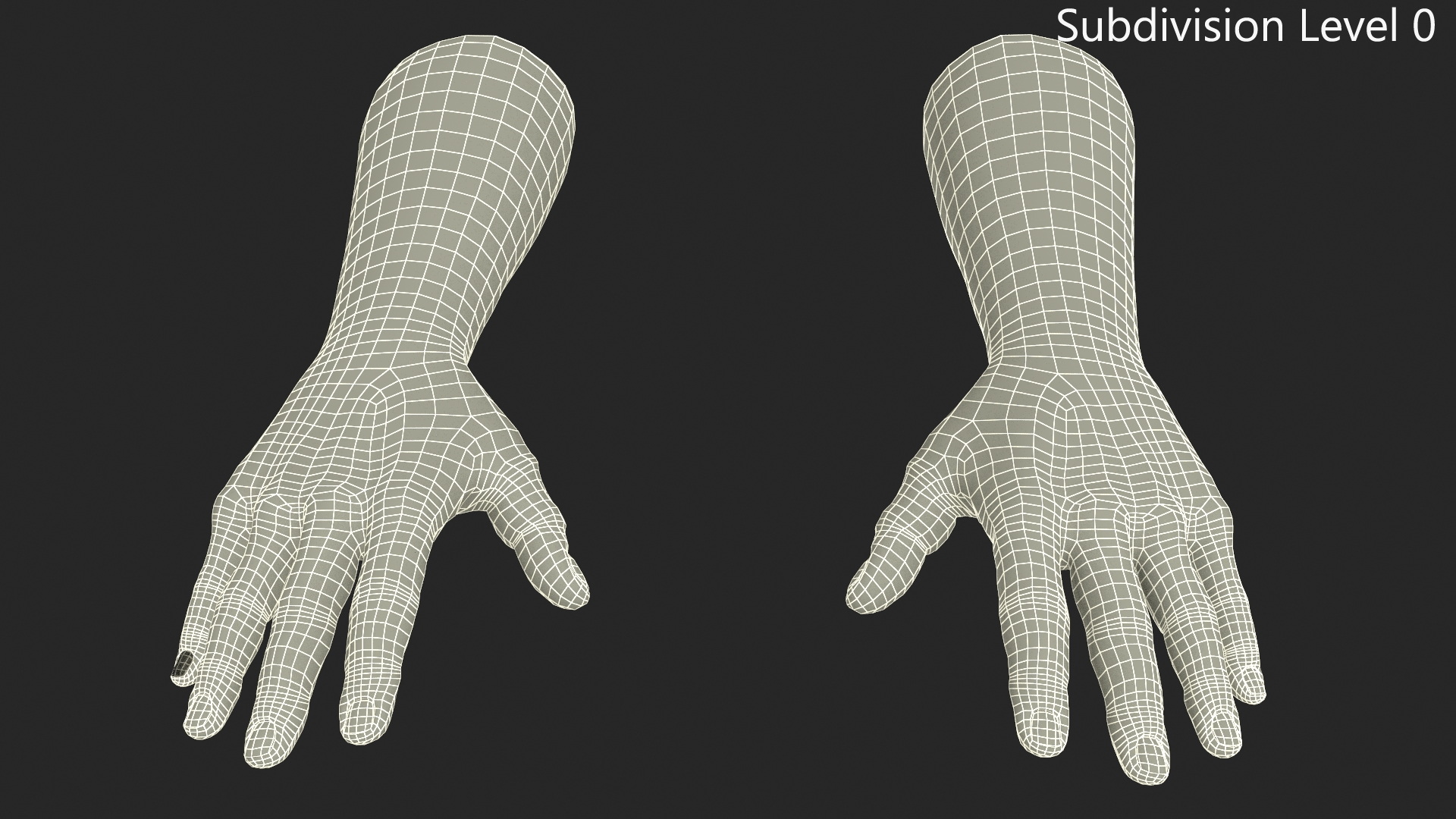 3D Man Hands Rigged