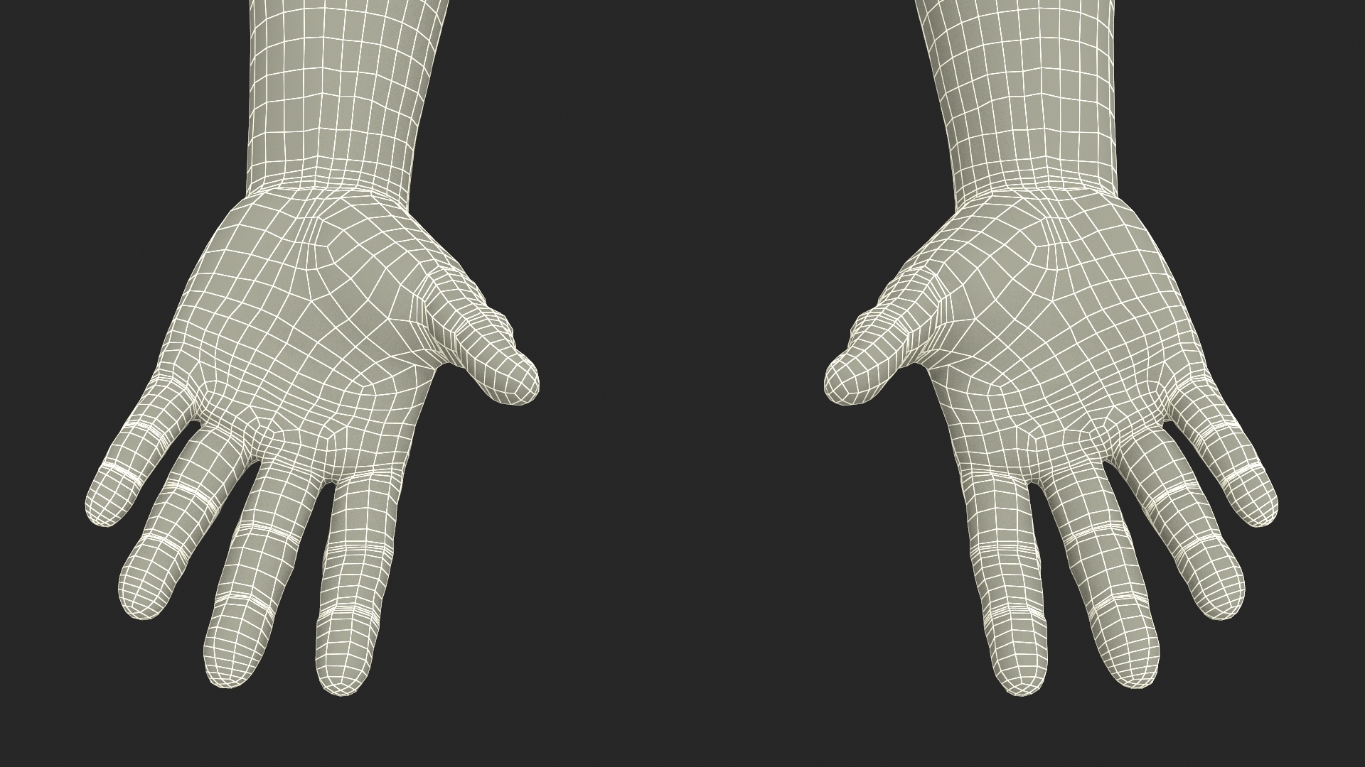 3D Man Hands Rigged