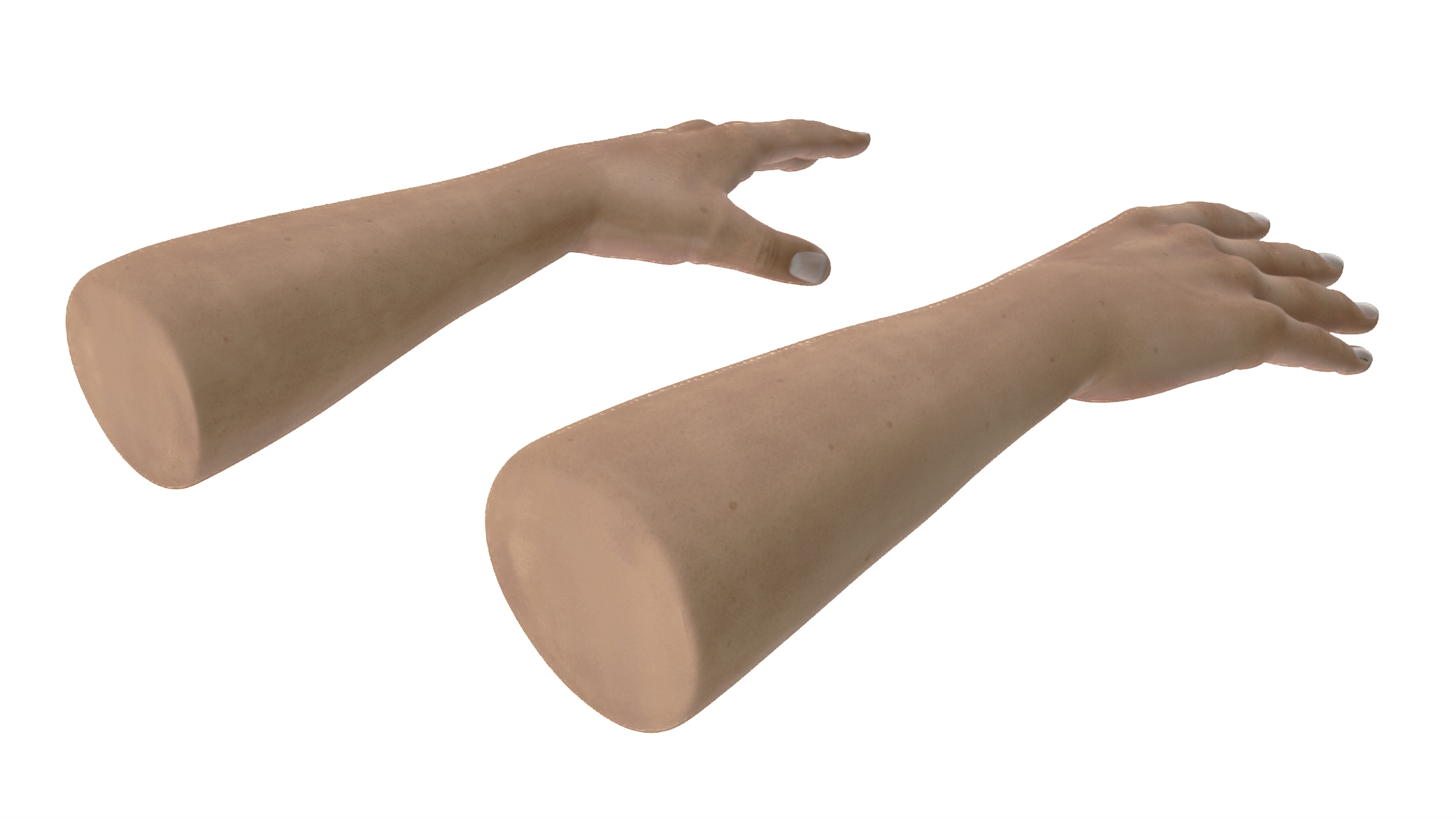 3D Man Hands Rigged