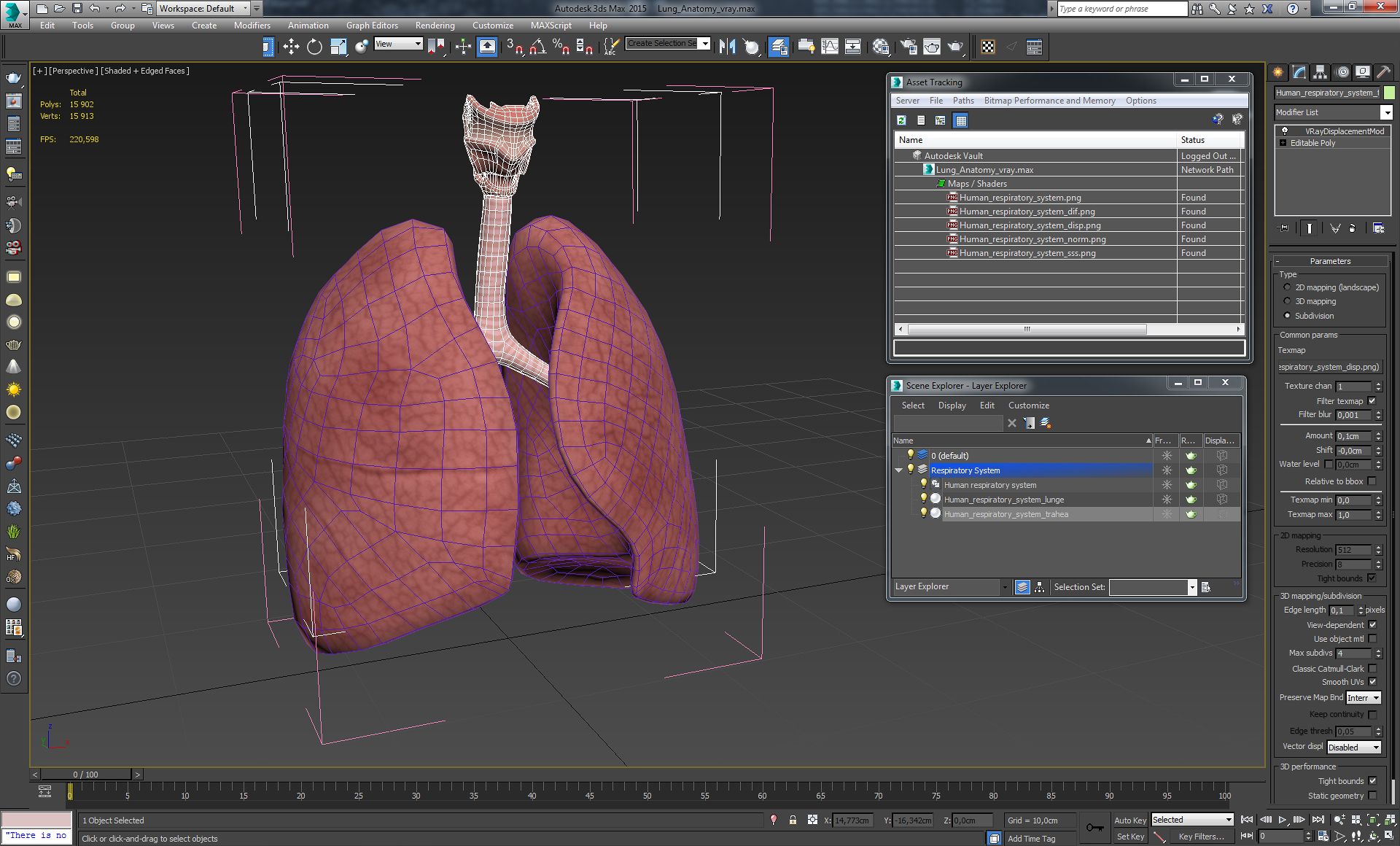 Lung Anatomy 3D