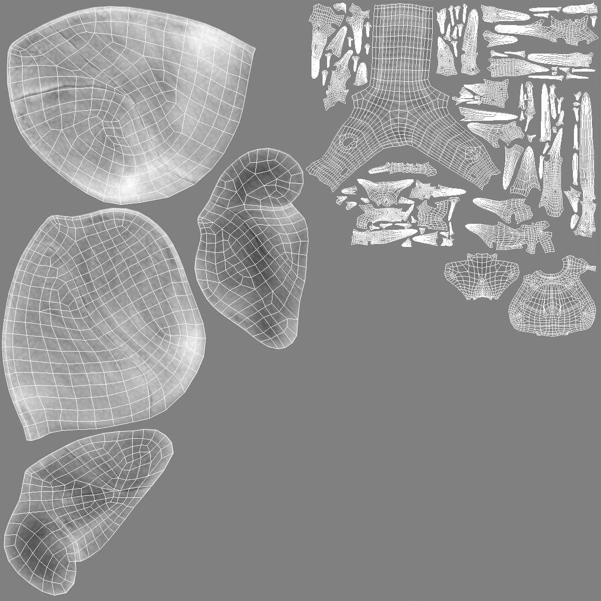 Lung Anatomy 3D