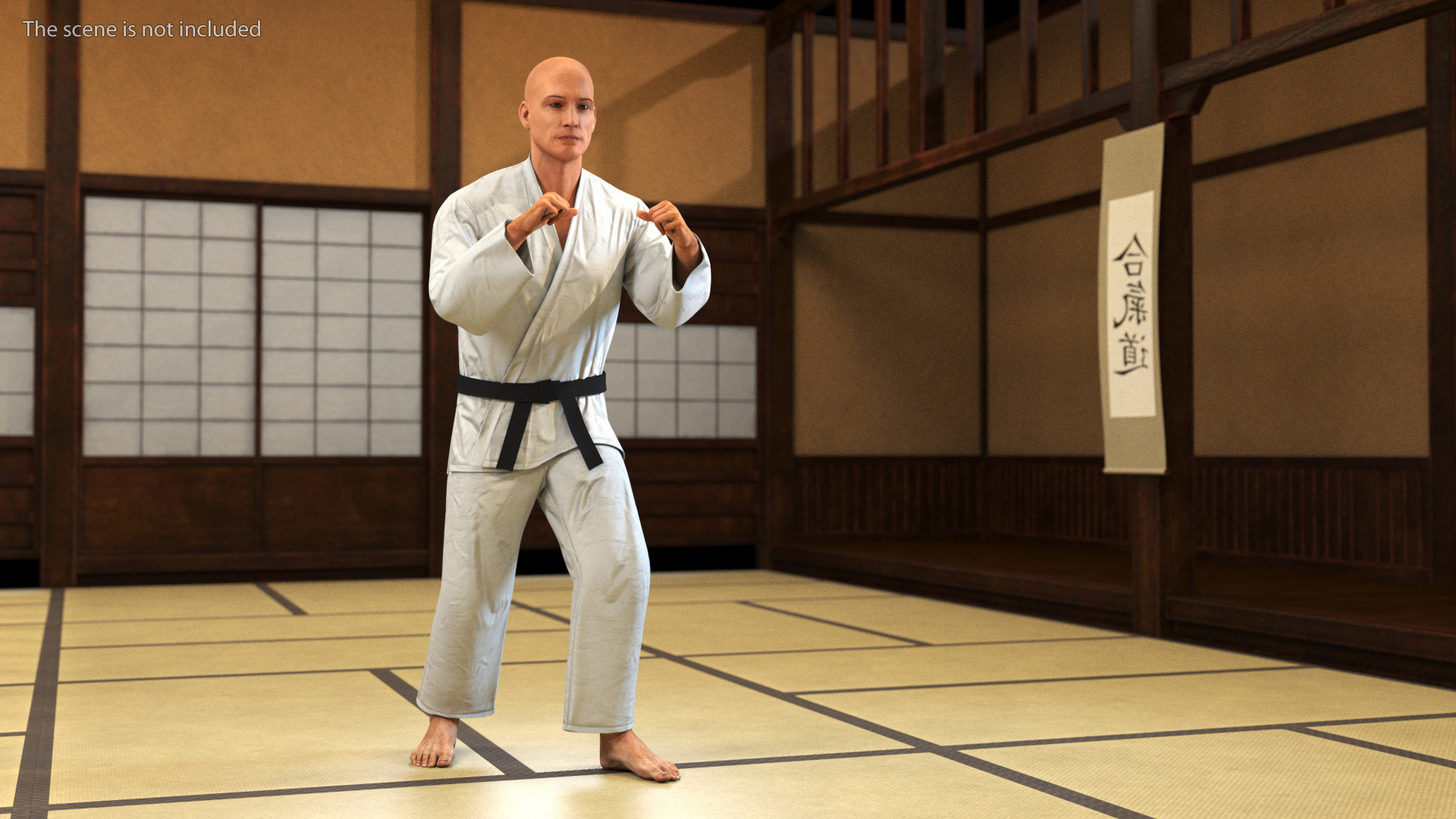 3D Karate Practitioner in Gi with Black Belt Rigged model