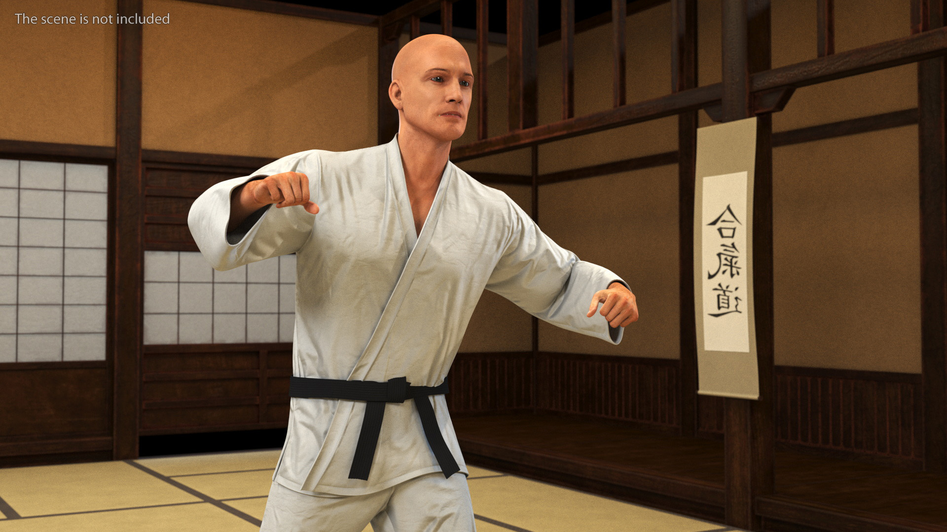 3D Karate Practitioner in Gi with Black Belt Rigged model