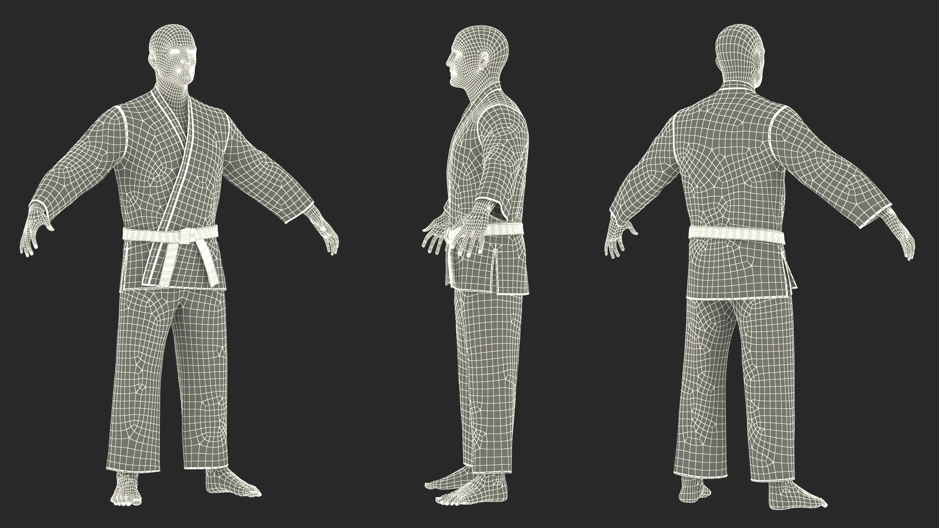 3D Karate Practitioner in Gi with Black Belt Rigged model