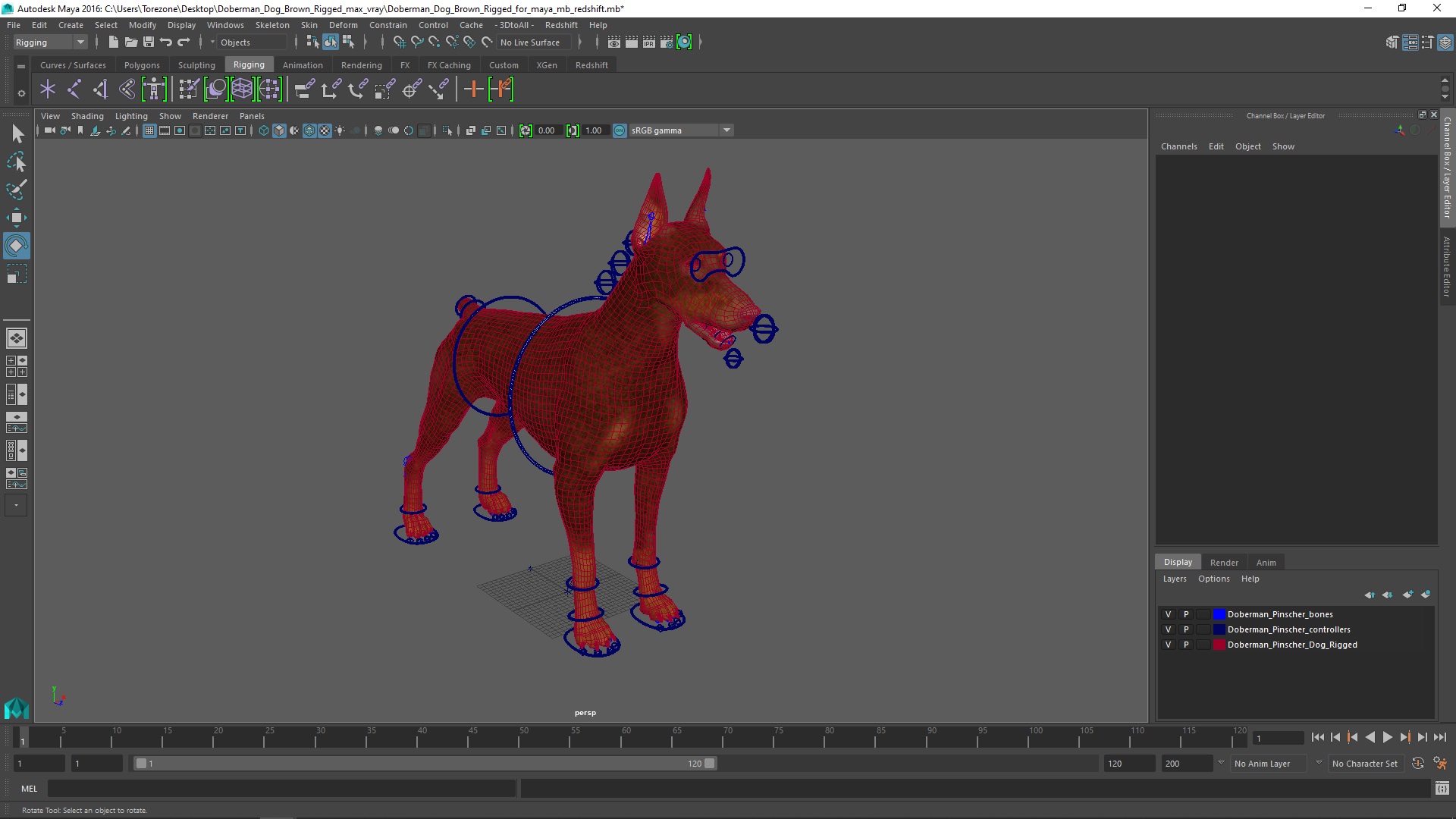 Doberman Dog Brown Rigged for Maya 3D model