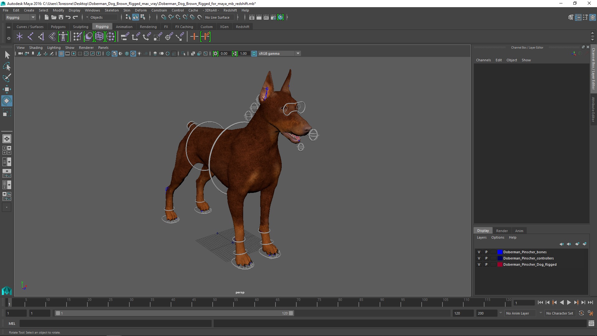 Doberman Dog Brown Rigged for Maya 3D model