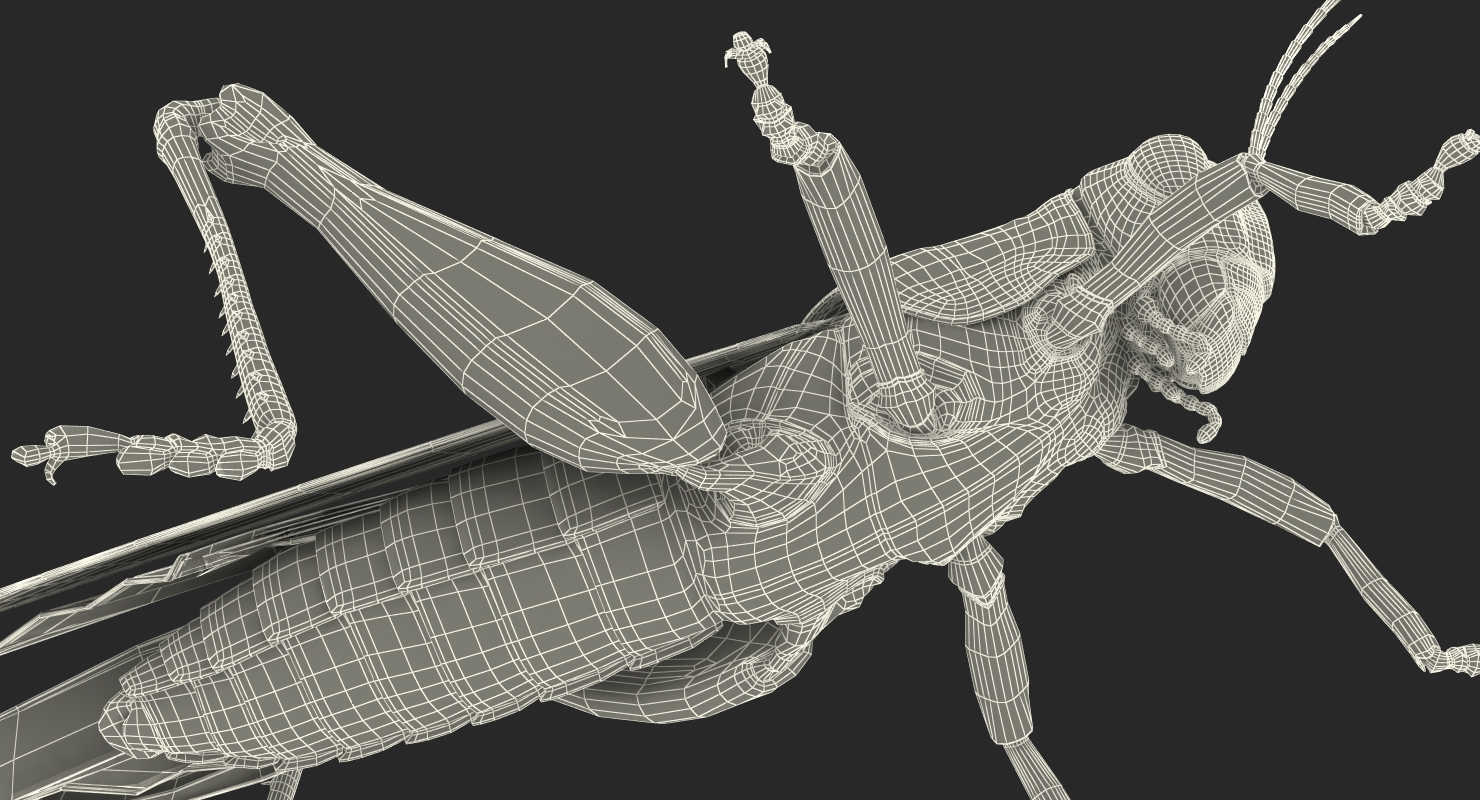 3D Grasshopper