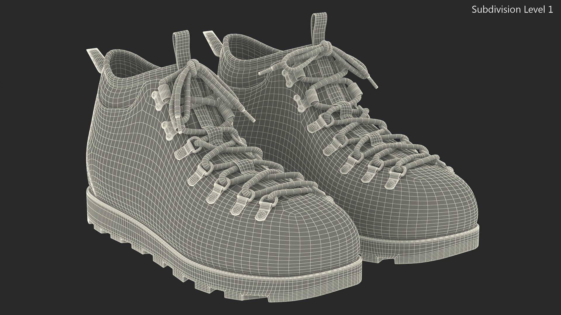 Hiking Boots 3D