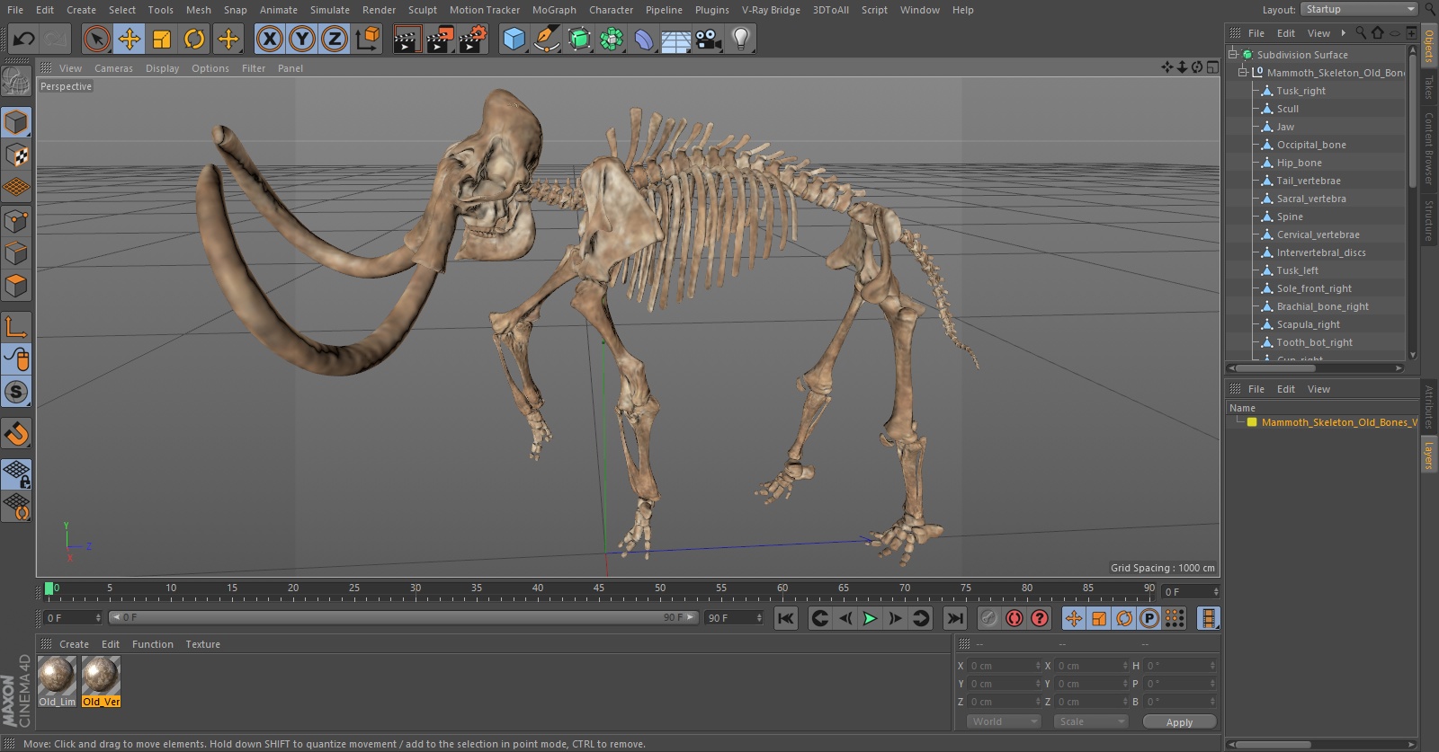 Mammoth Skeleton Old Bones Walking Pose 3D model