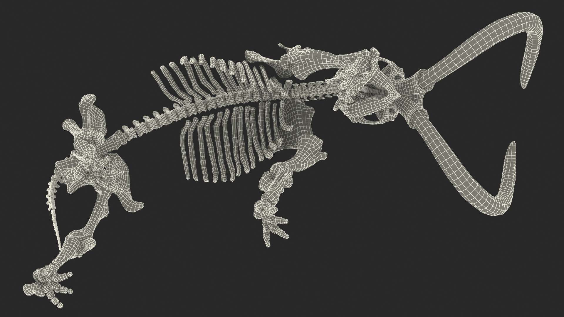 Mammoth Skeleton Old Bones Walking Pose 3D model