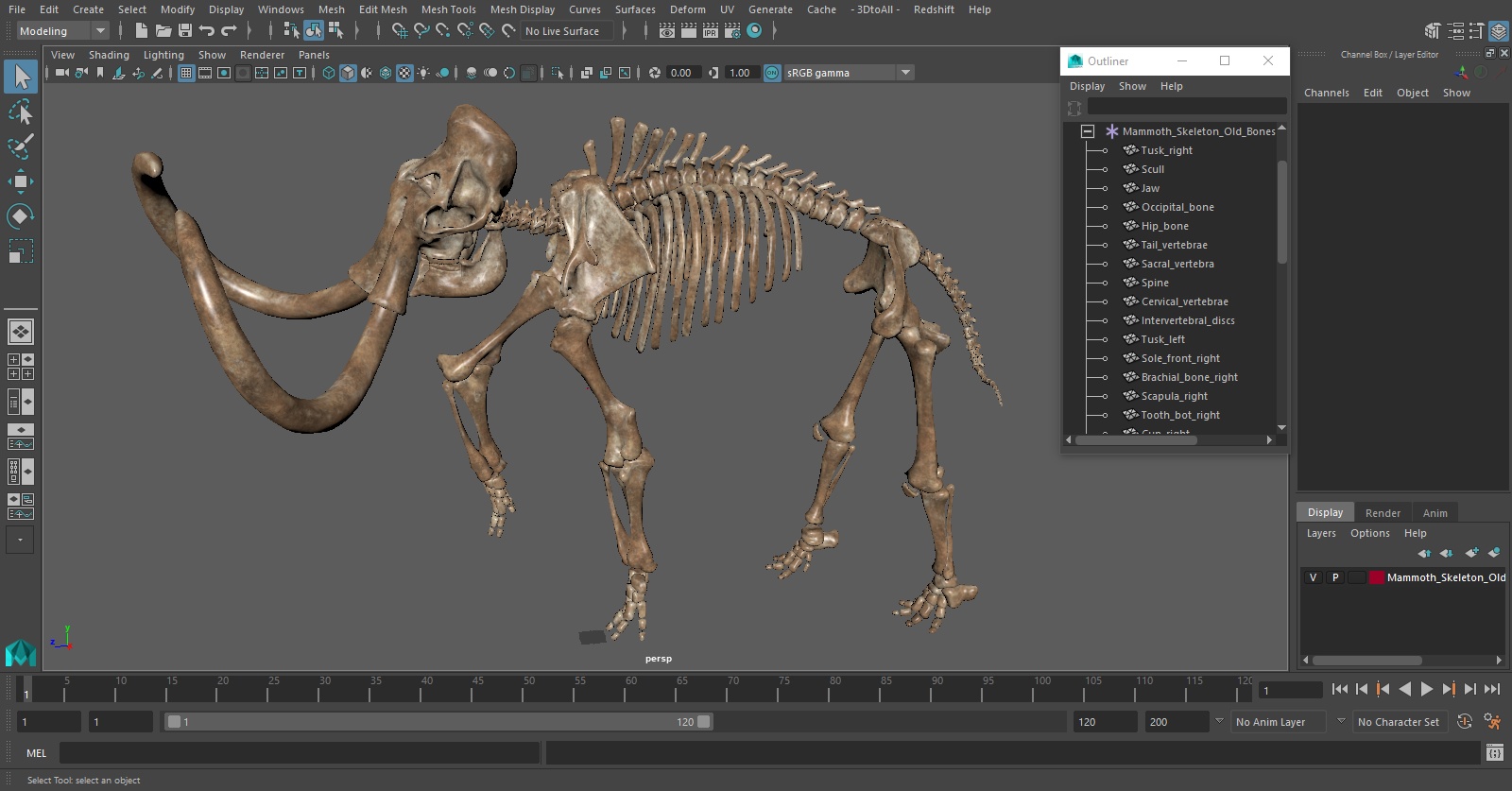 Mammoth Skeleton Old Bones Walking Pose 3D model