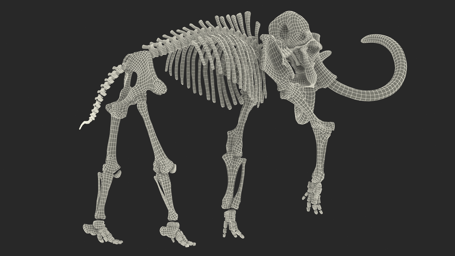 Mammoth Skeleton Old Bones Walking Pose 3D model