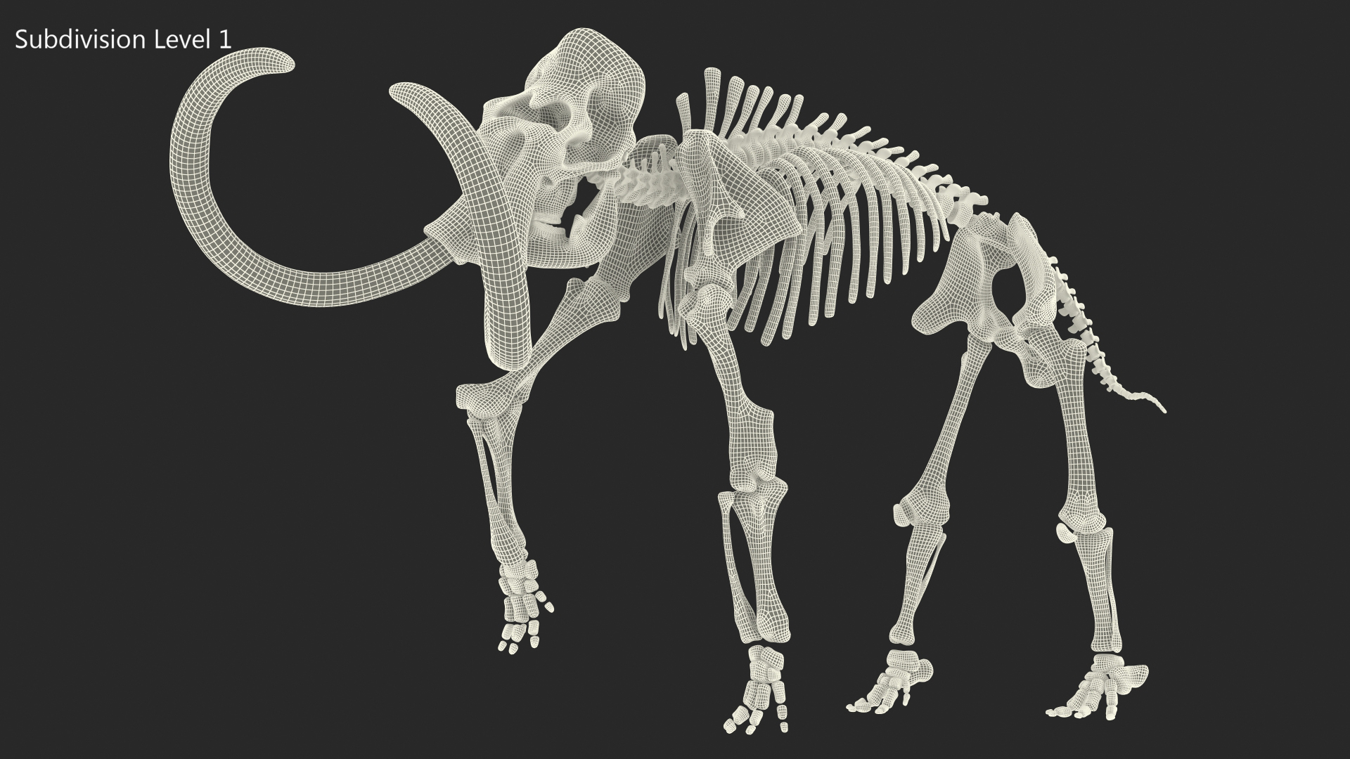 Mammoth Skeleton Old Bones Walking Pose 3D model