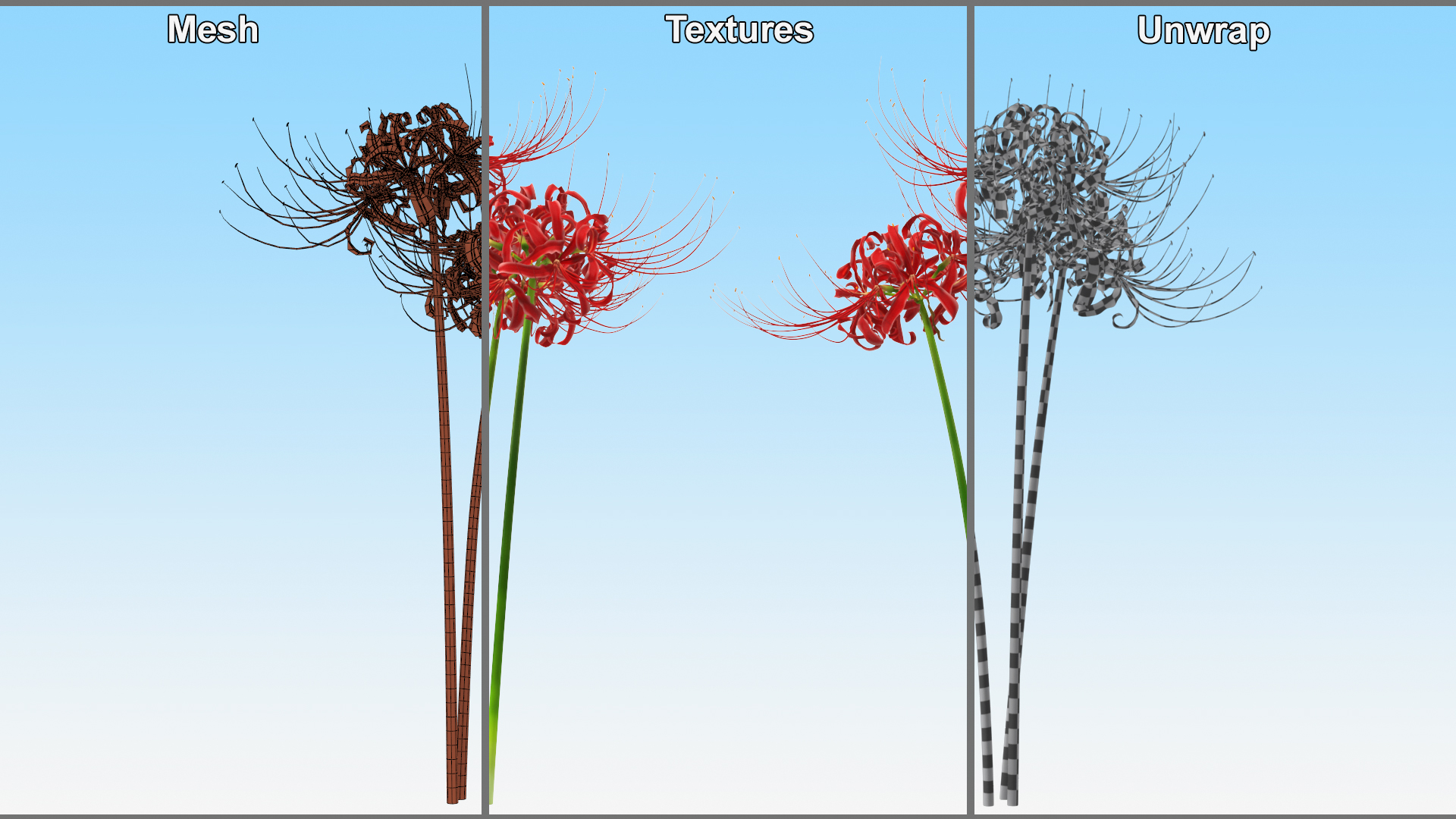 Spider Lily Flowers Bouquet 3D