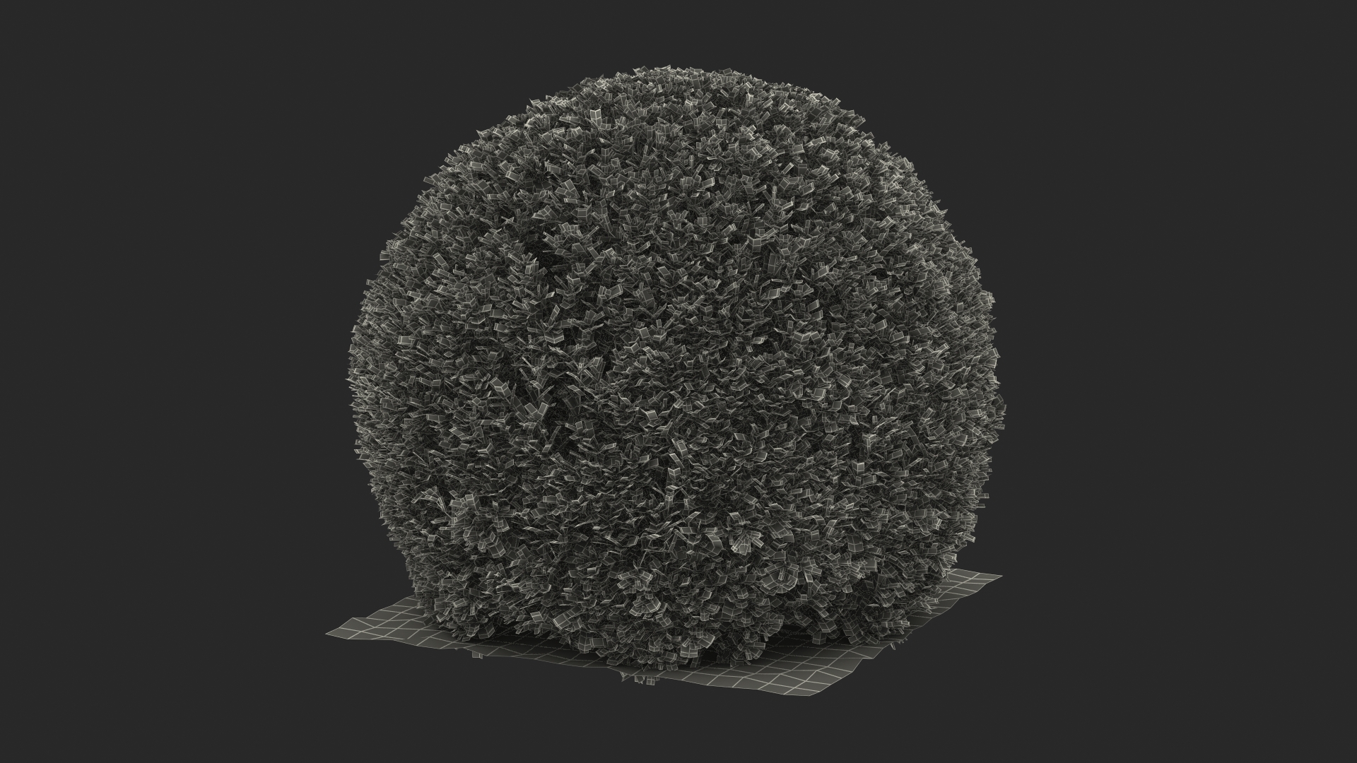 3D model Boxwood Round Shape Shrub