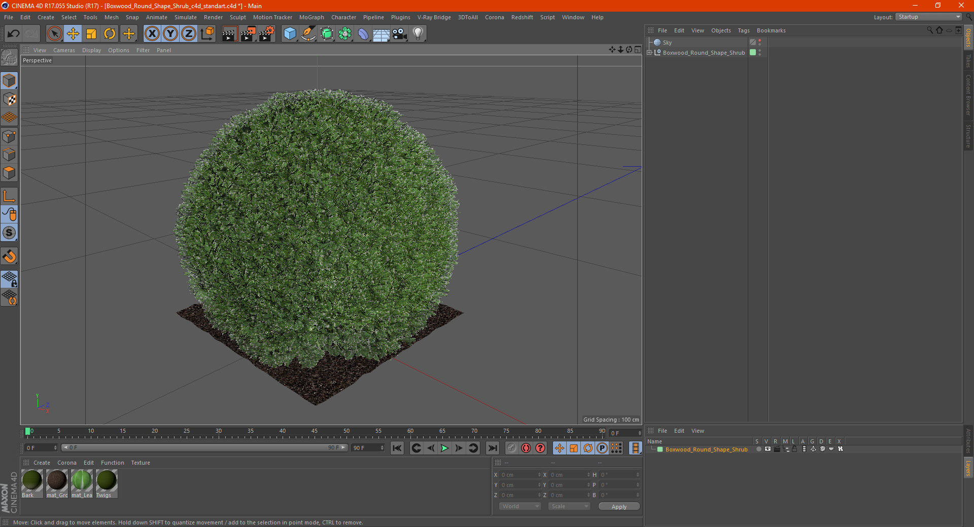 3D model Boxwood Round Shape Shrub