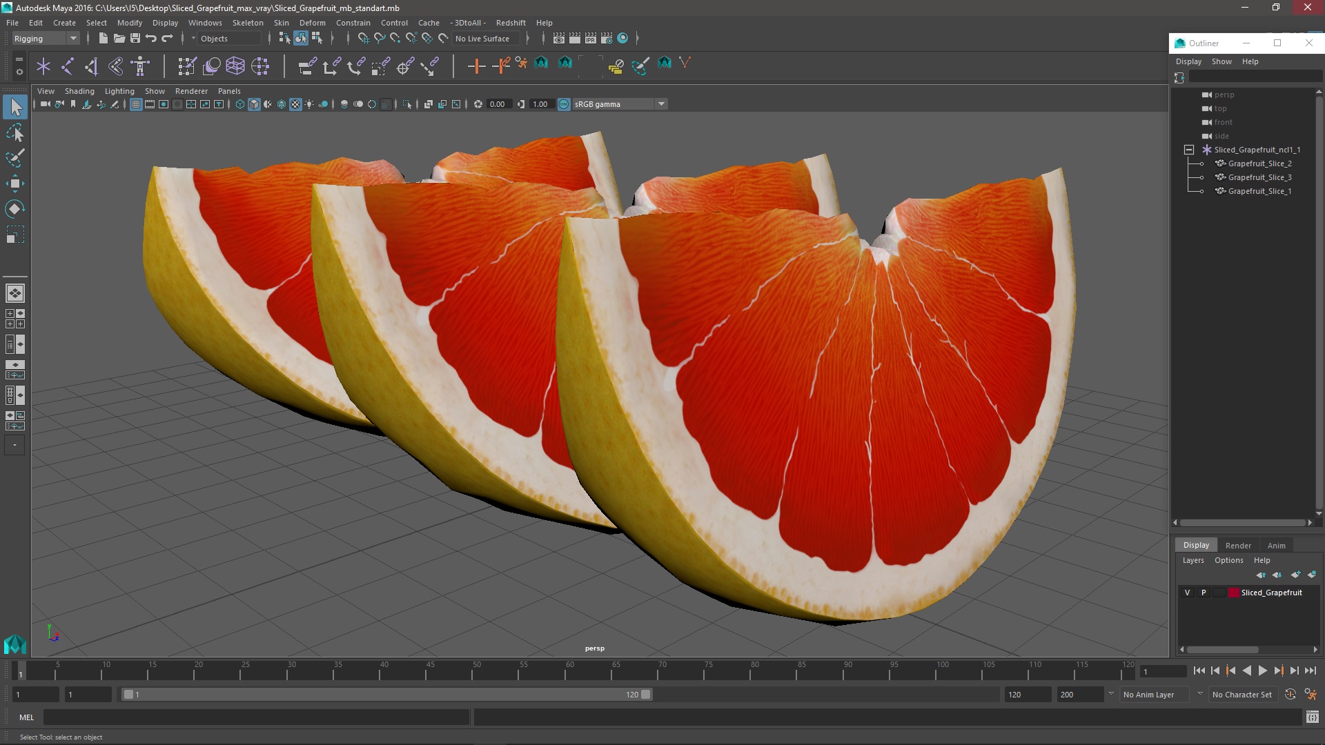 Sliced Grapefruit 3D