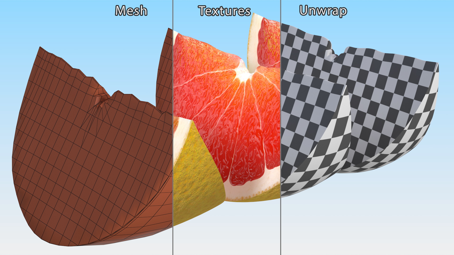 Sliced Grapefruit 3D