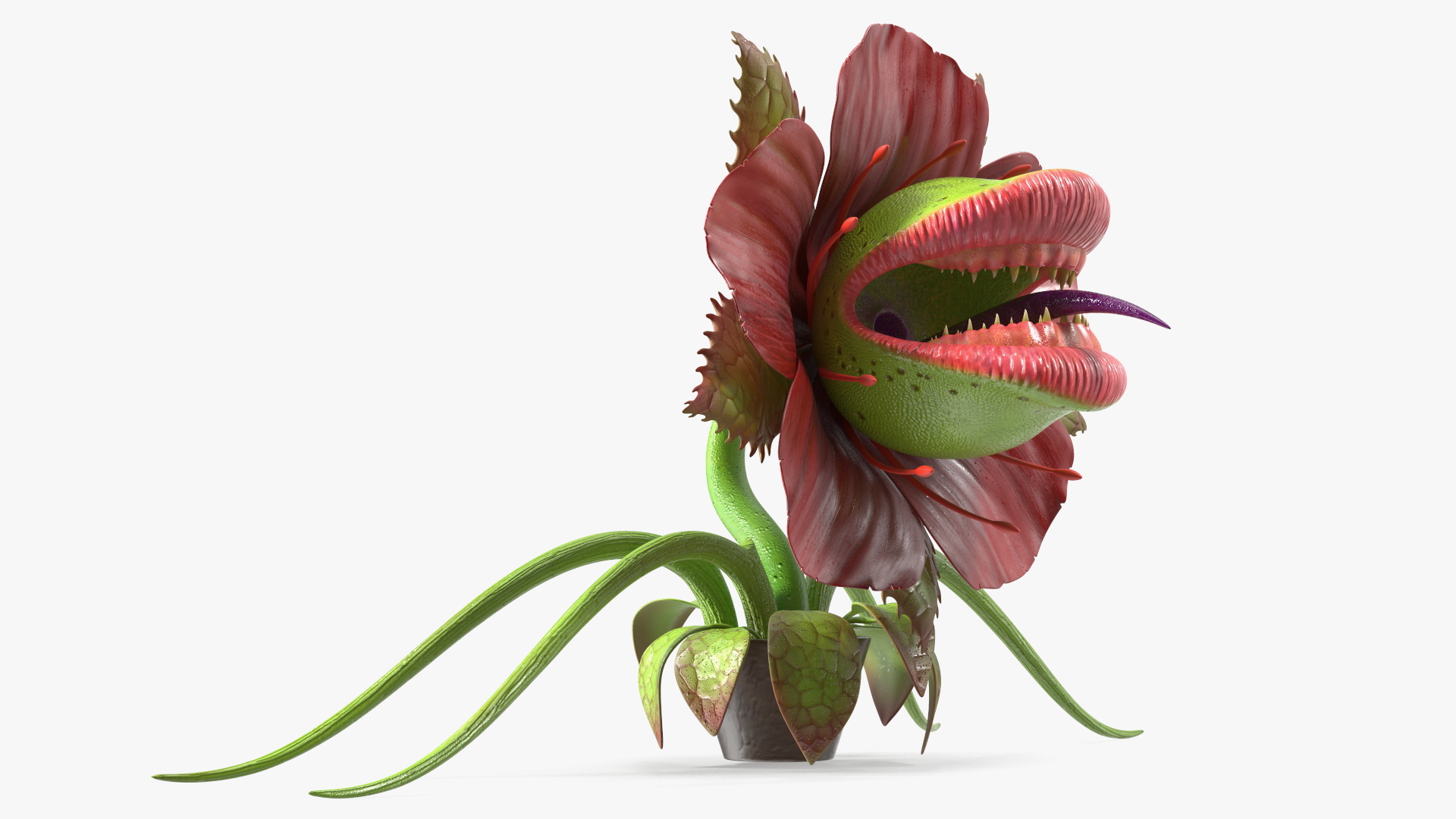 3D Monster Plant model