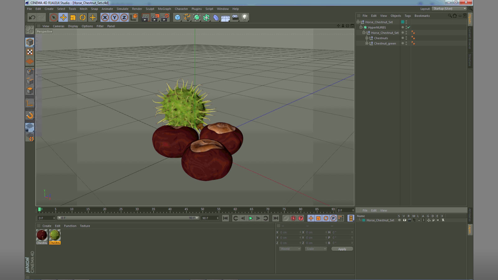 3D Horse Chestnut Set model