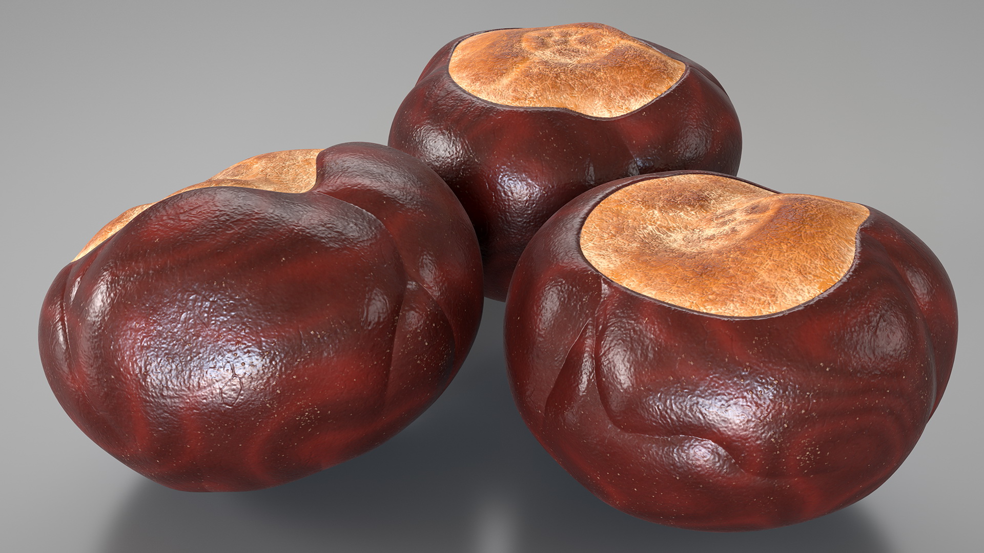 3D Horse Chestnut Set model