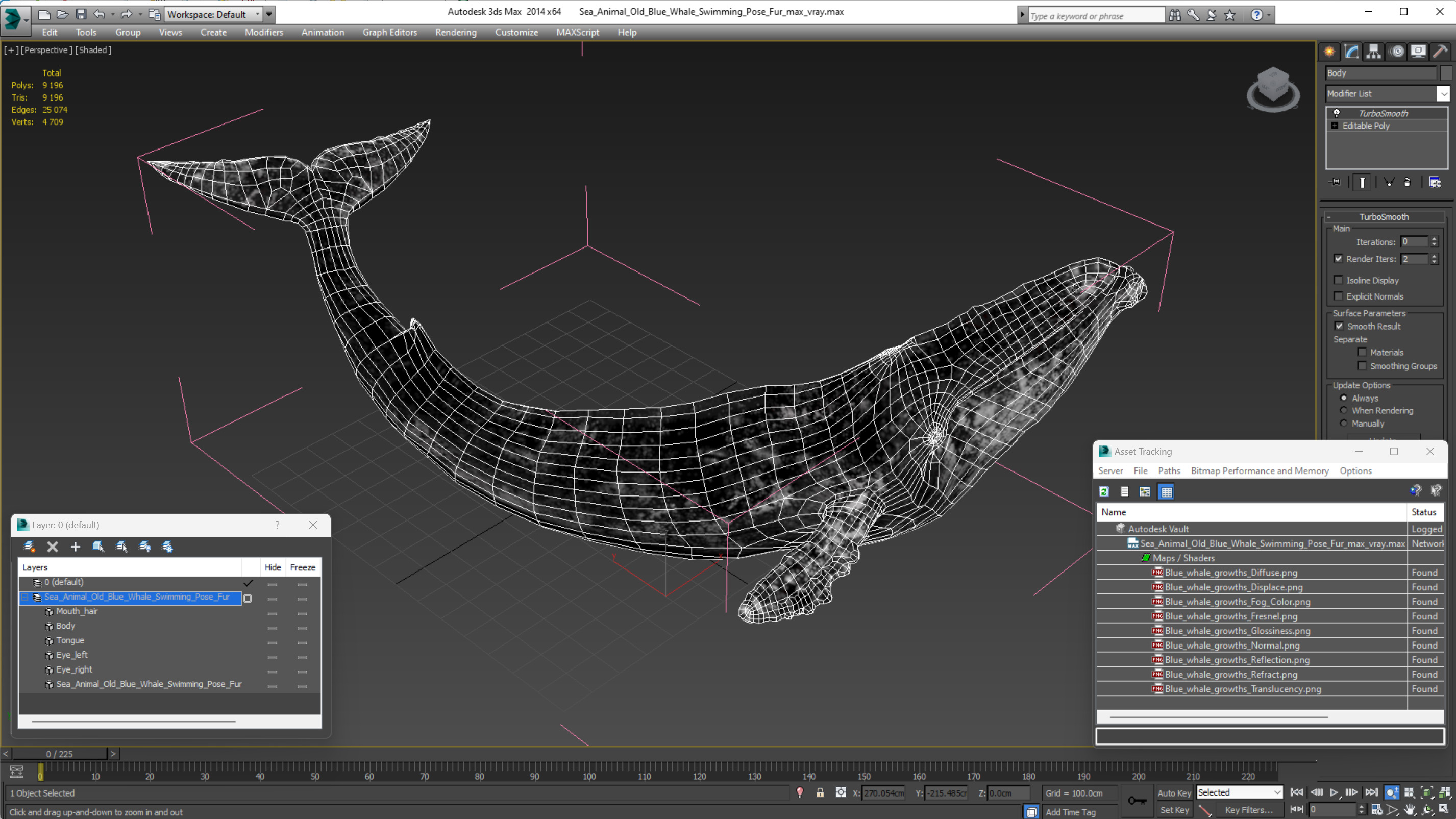 3D Sea Animal Old Blue Whale Swimming Pose Fur model