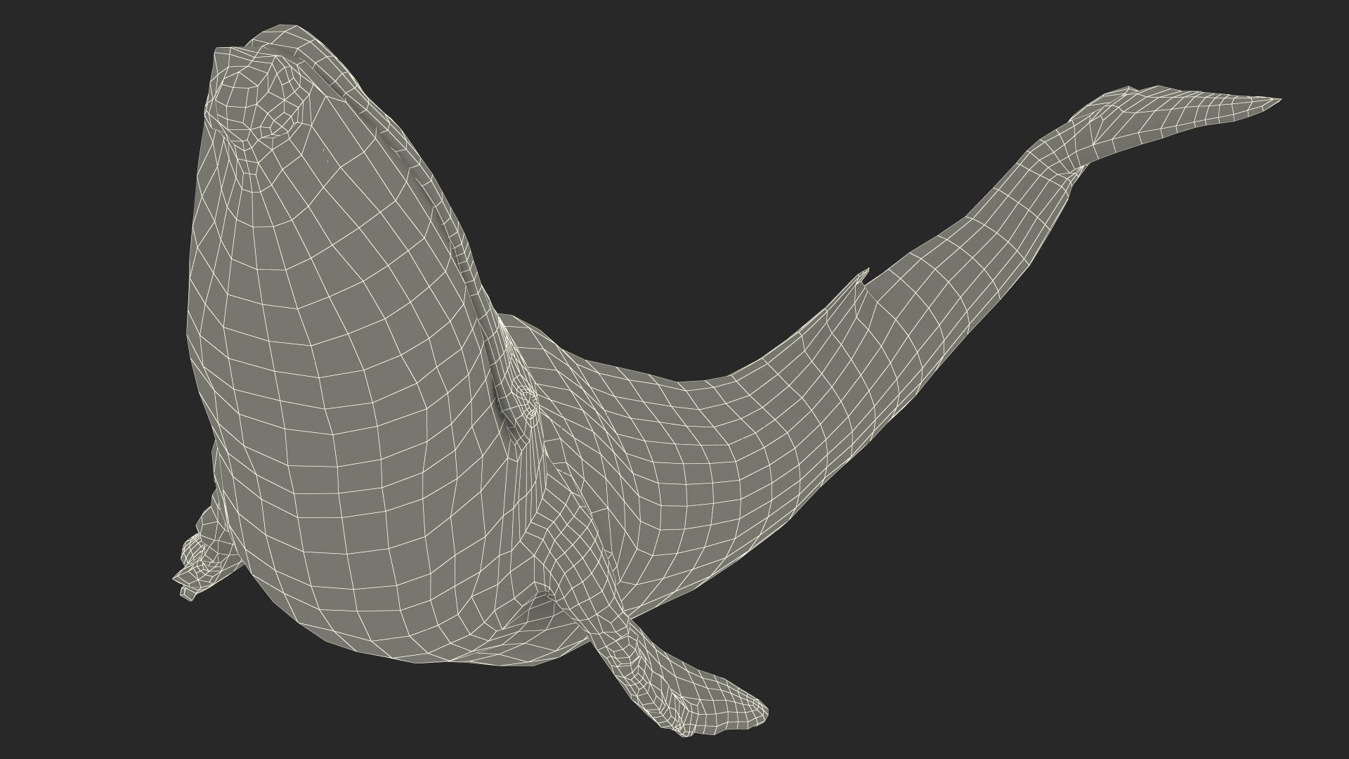 3D Sea Animal Old Blue Whale Swimming Pose Fur model