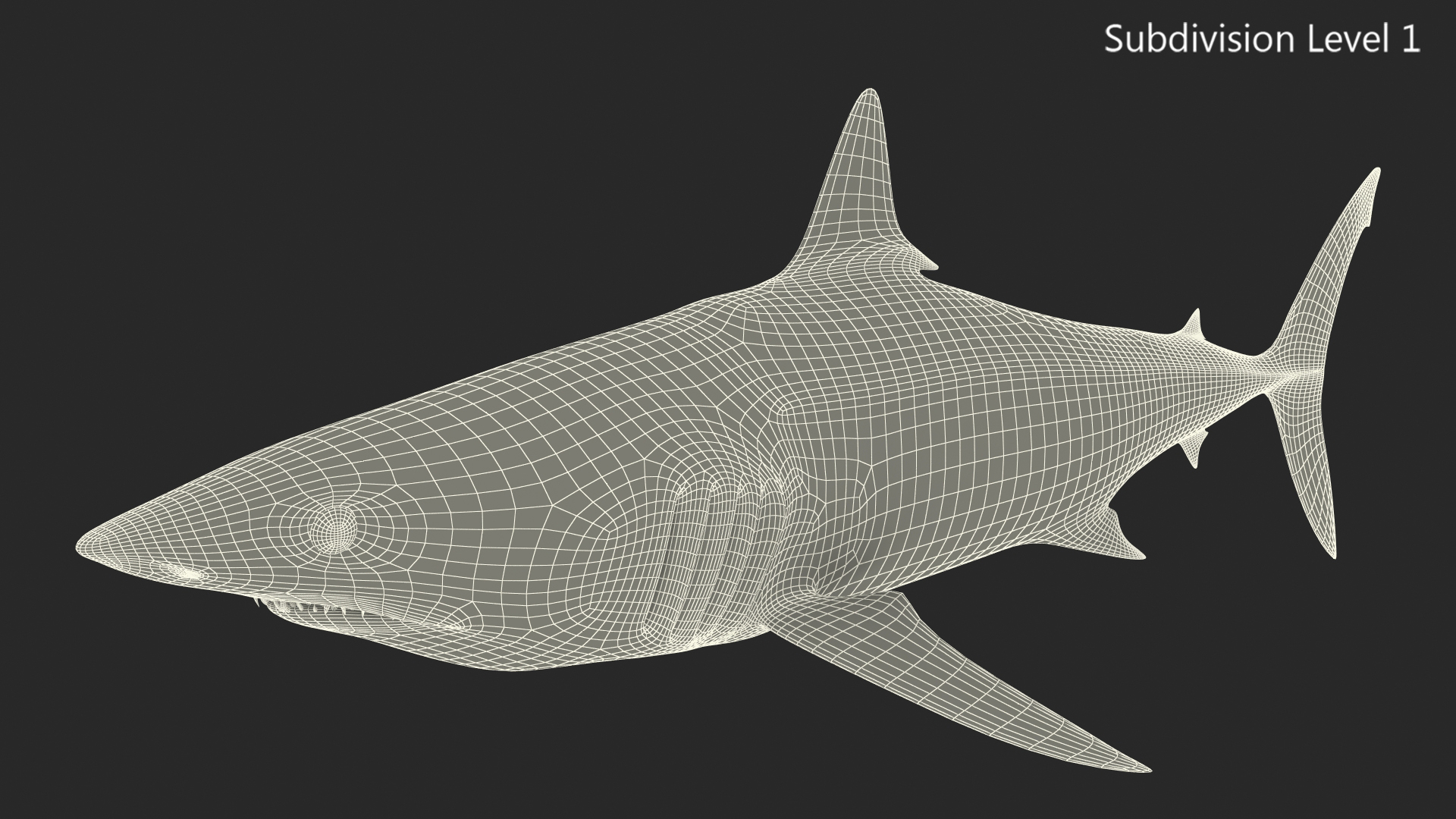 3D model Shortfin Mako or Isurus Oxyrinchus Shark