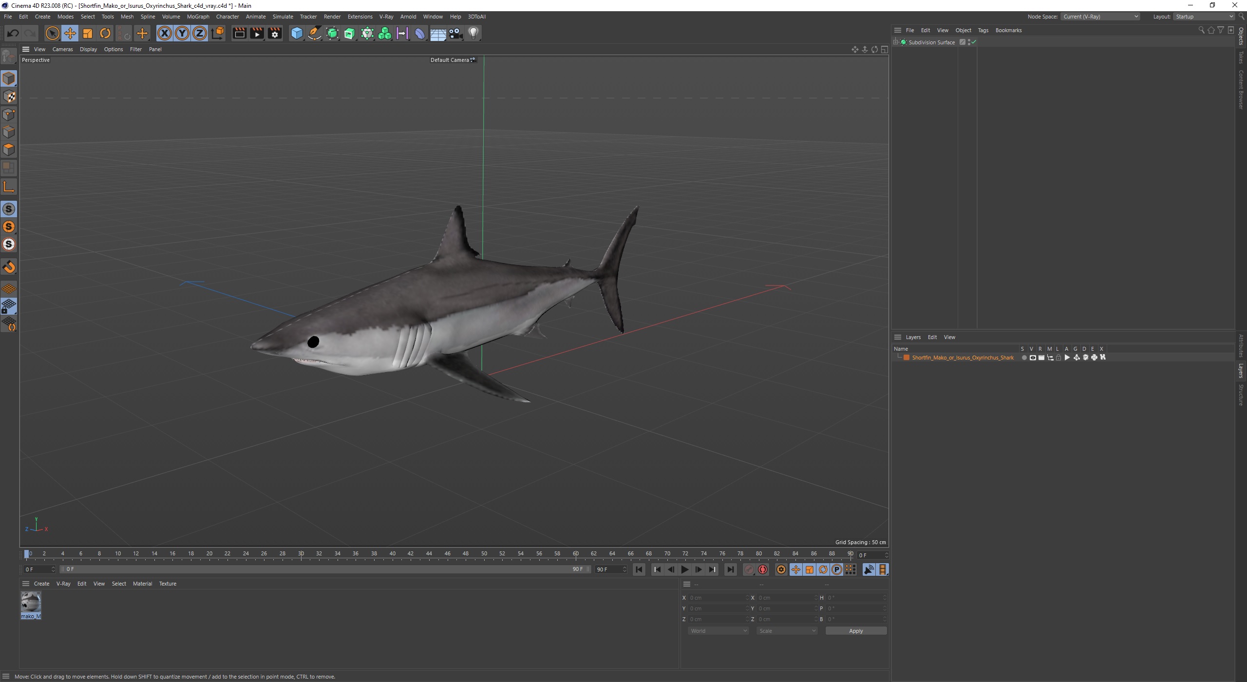 3D model Shortfin Mako or Isurus Oxyrinchus Shark