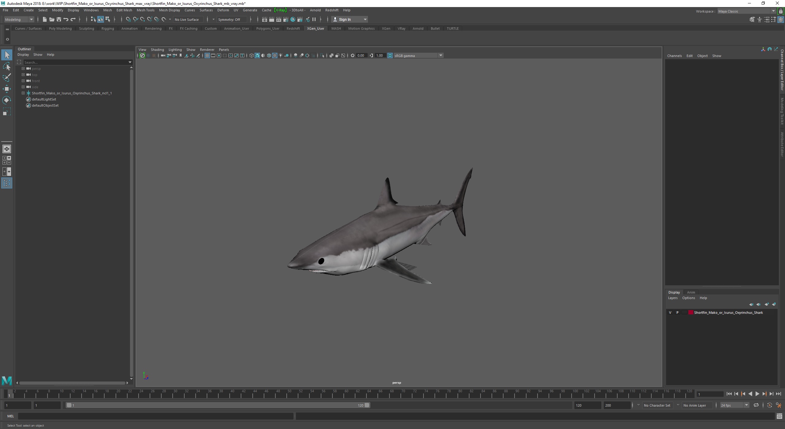 3D model Shortfin Mako or Isurus Oxyrinchus Shark