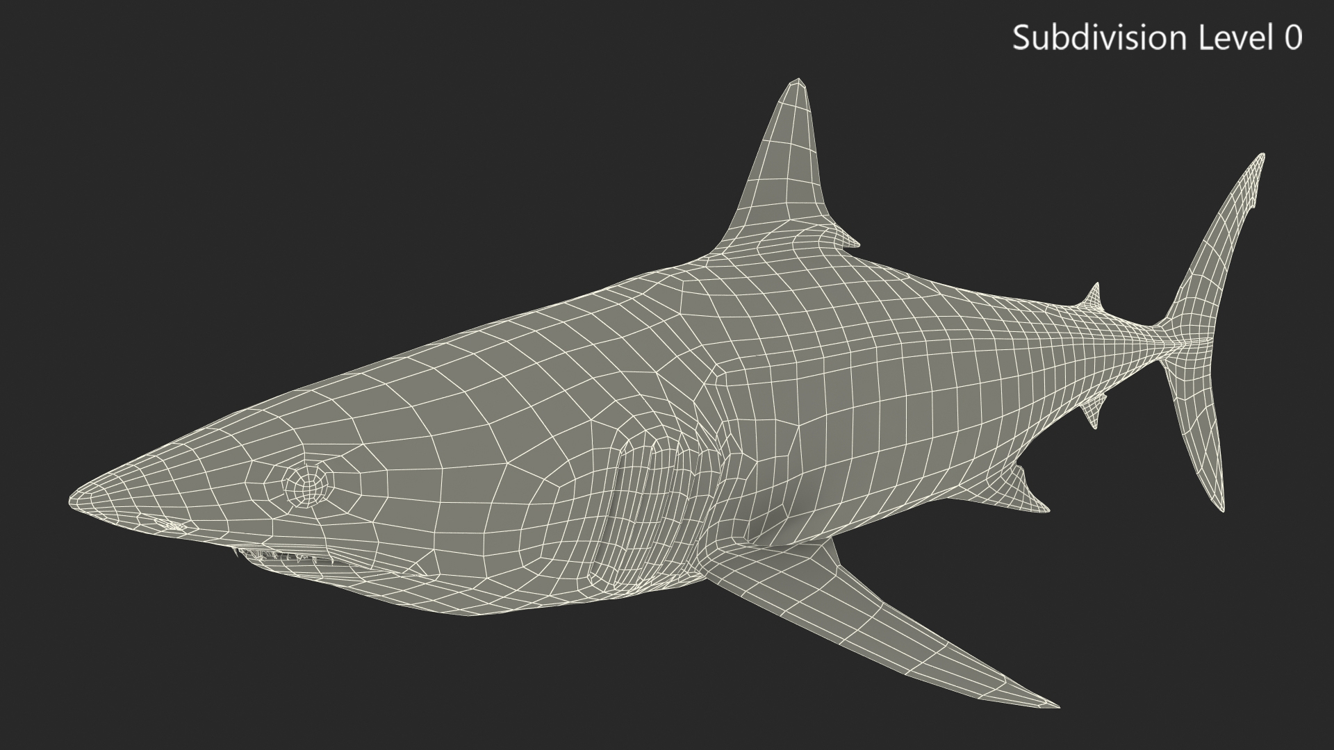 3D model Shortfin Mako or Isurus Oxyrinchus Shark