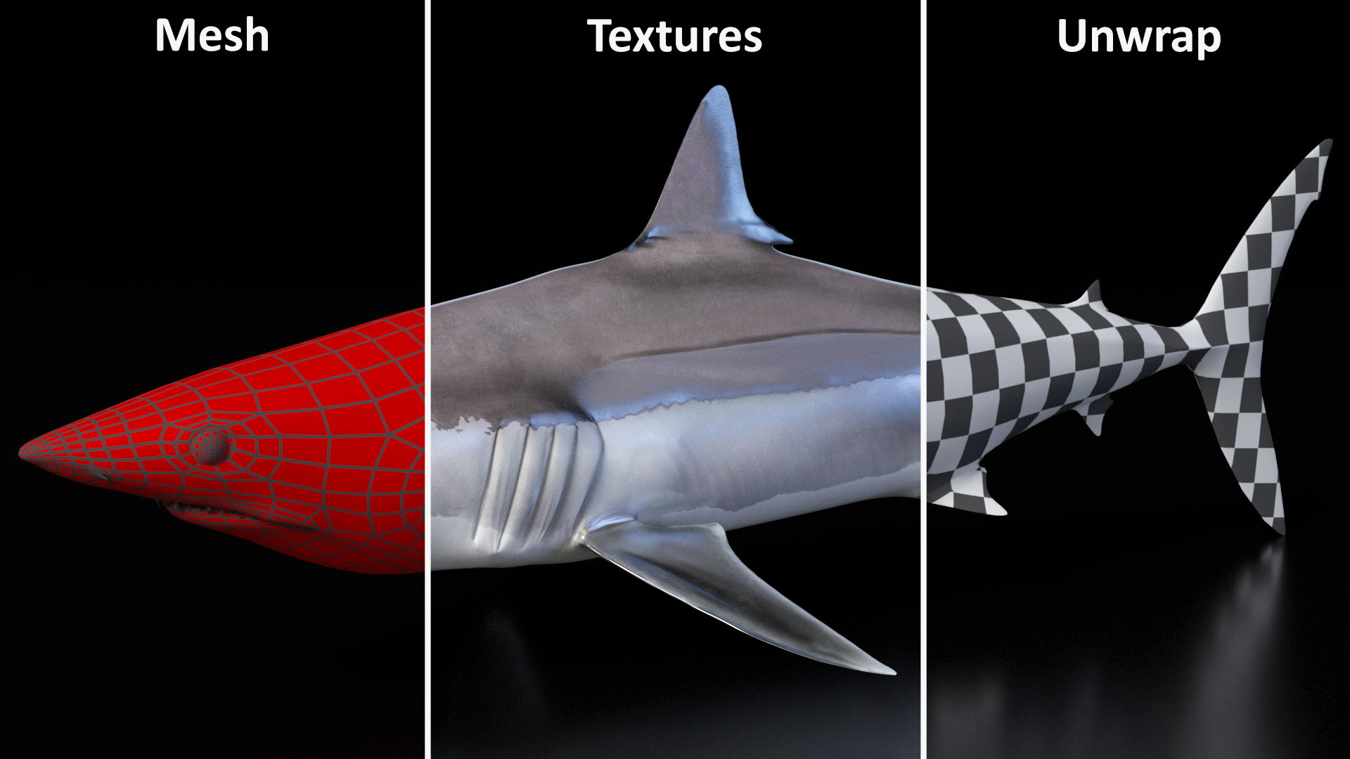 3D model Shortfin Mako or Isurus Oxyrinchus Shark