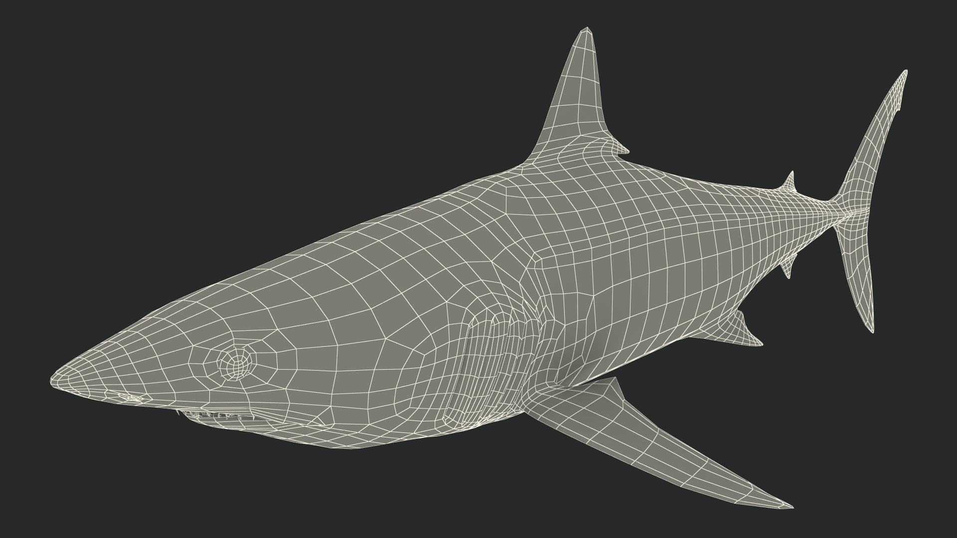 3D model Shortfin Mako or Isurus Oxyrinchus Shark