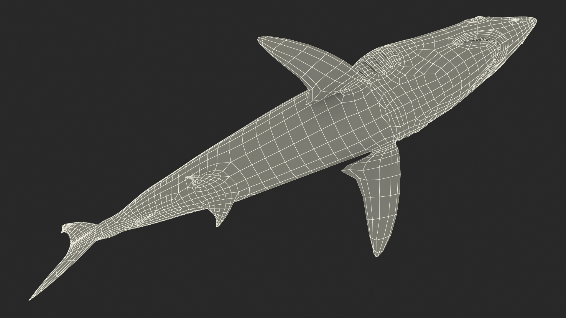 3D model Shortfin Mako or Isurus Oxyrinchus Shark