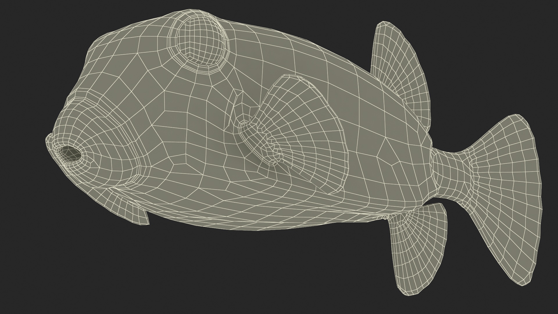 Yellow Spotted Boxfish Rigged 3D model