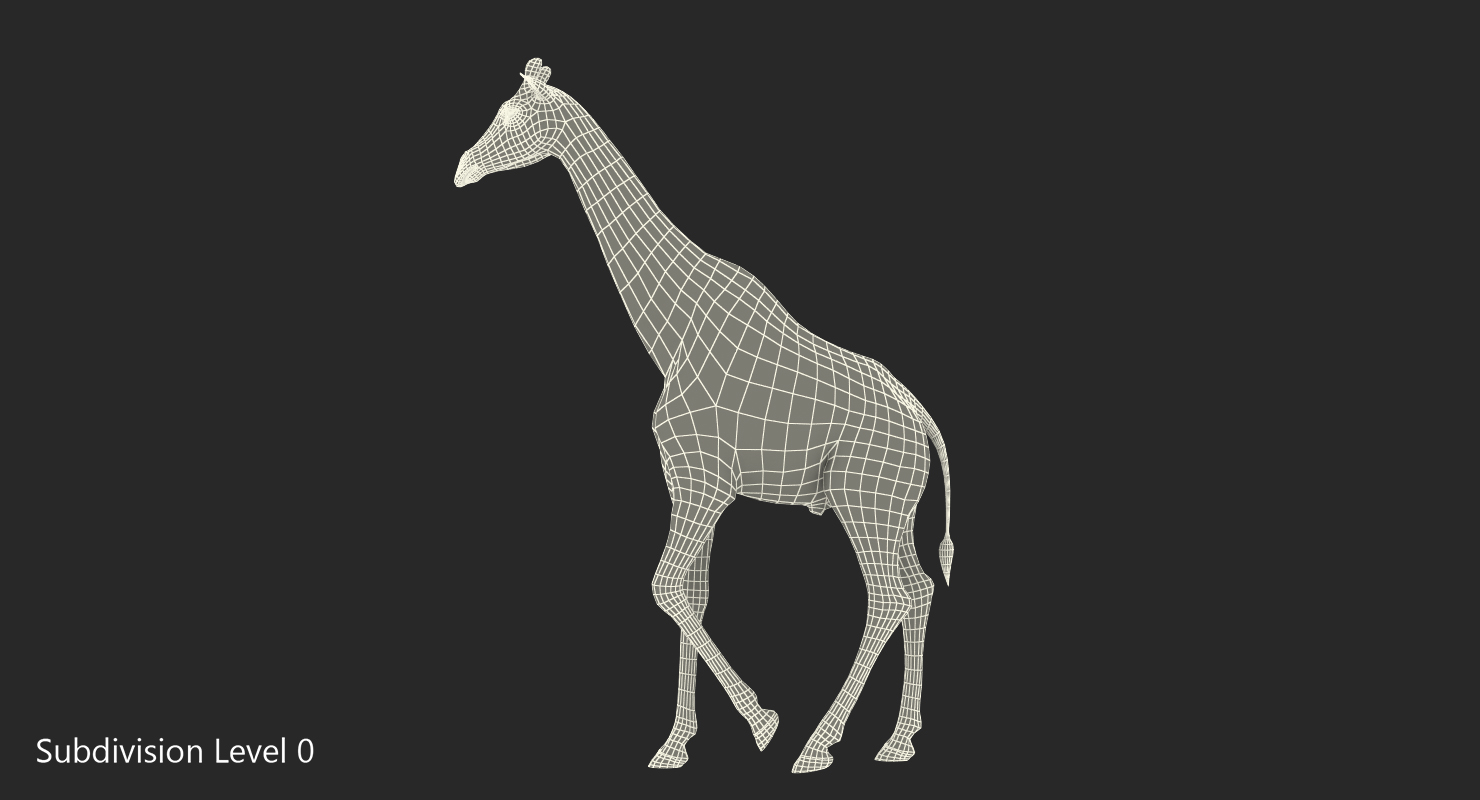 Giraffe Walking Pose Fur 3D model