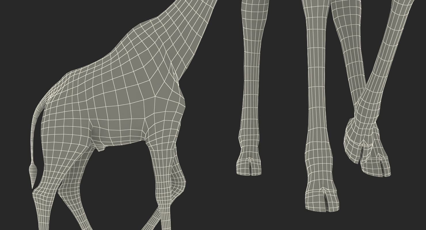 Giraffe Walking Pose Fur 3D model