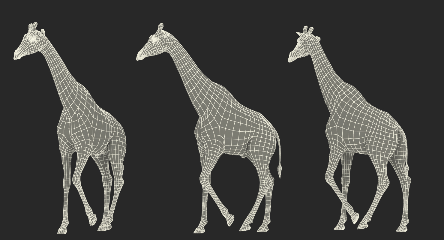 Giraffe Walking Pose Fur 3D model