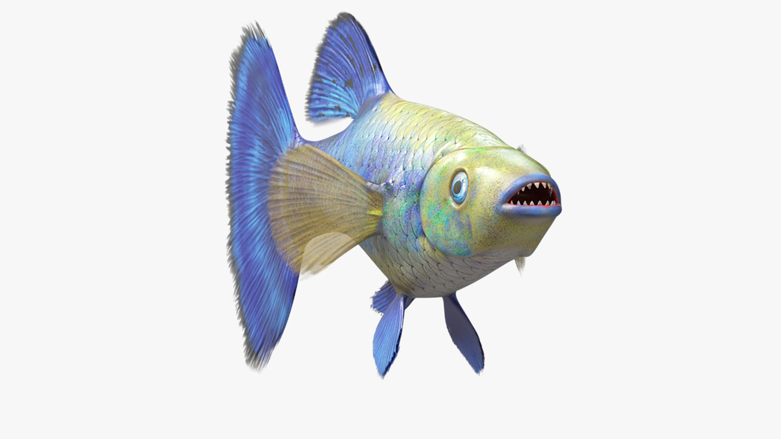 Guppy Fish Blue Diamond Rigged for Cinema 4D 3D model