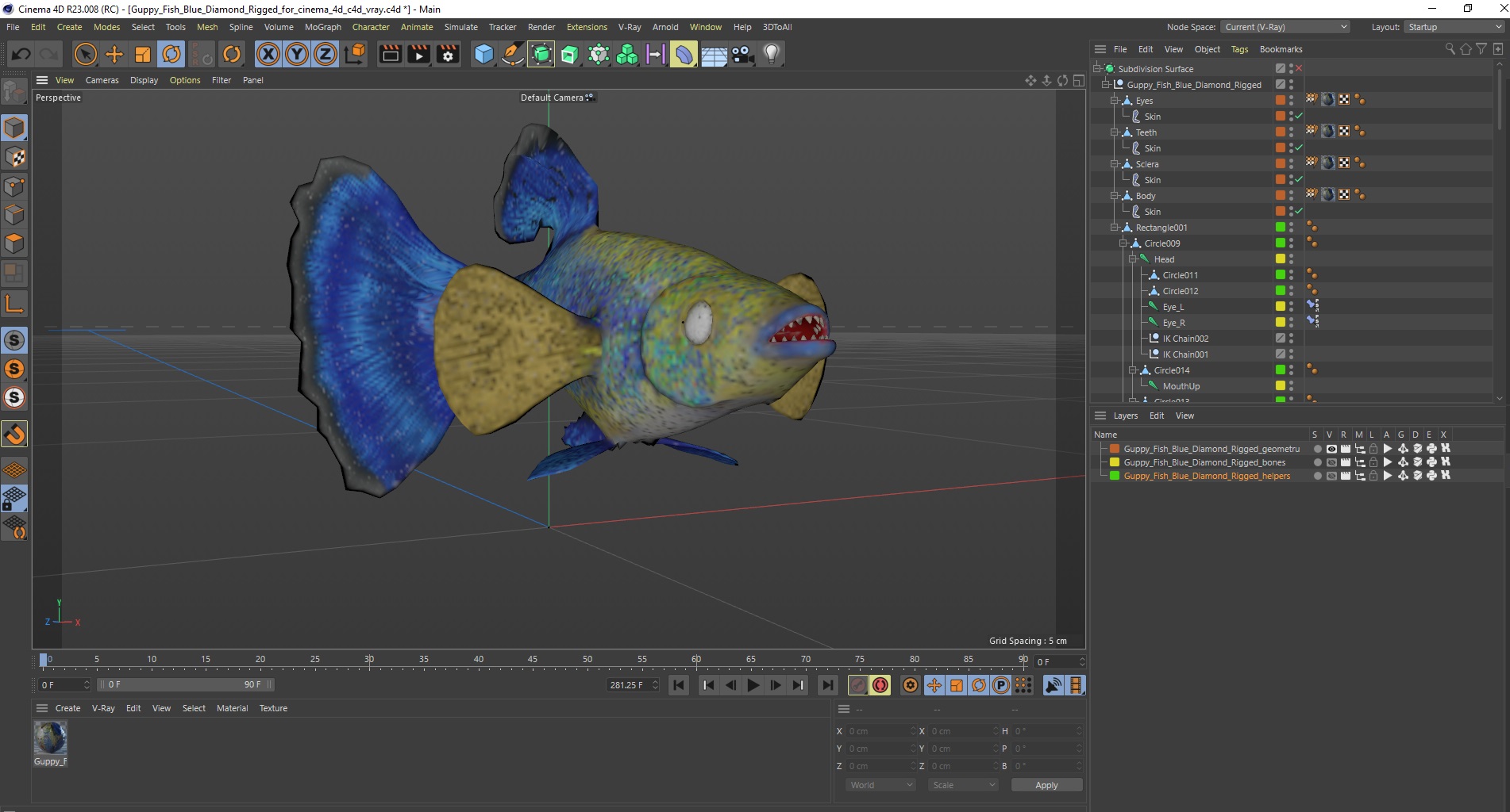 Guppy Fish Blue Diamond Rigged for Cinema 4D 3D model