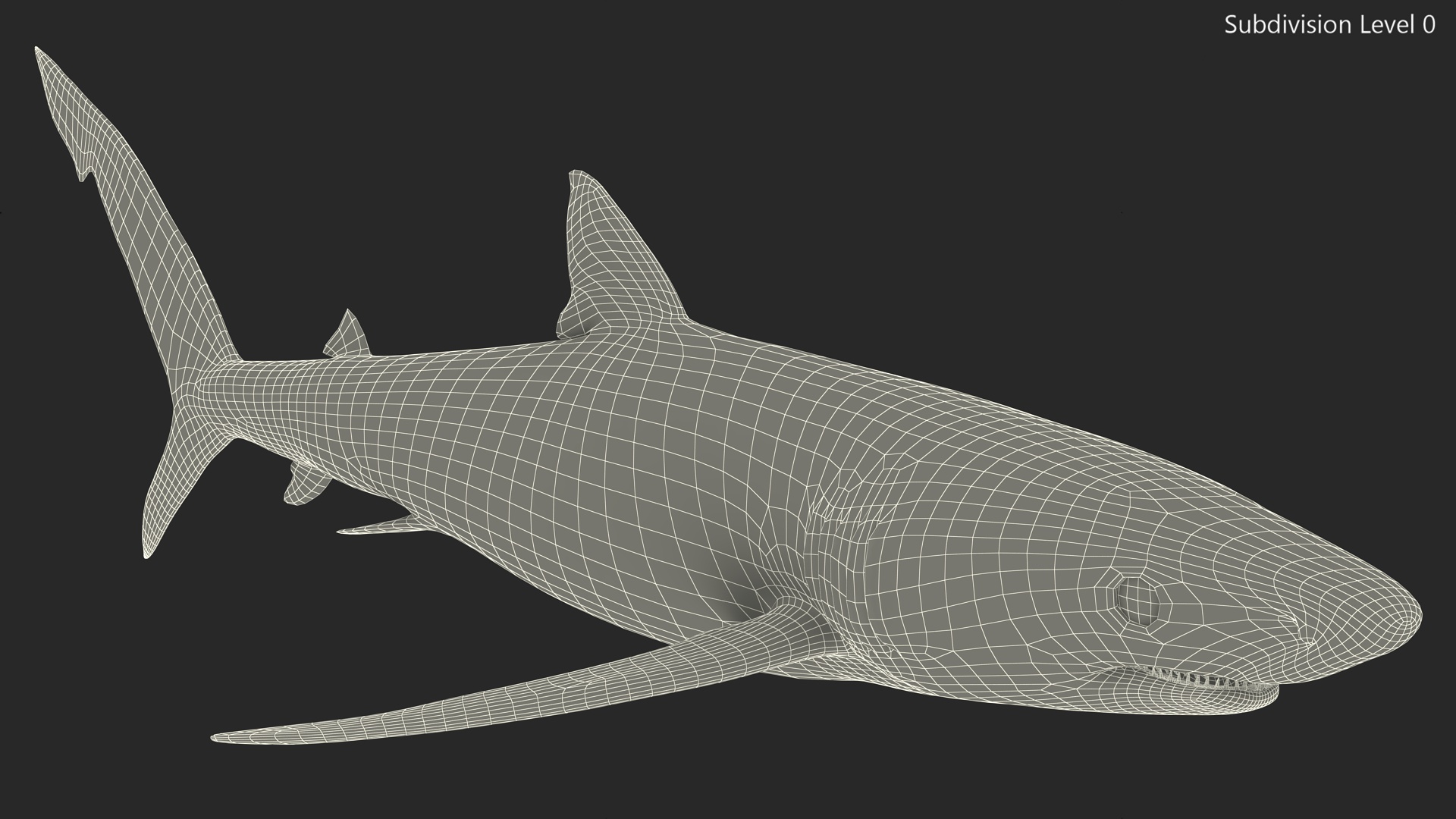 3D model Realistic Blue Shark