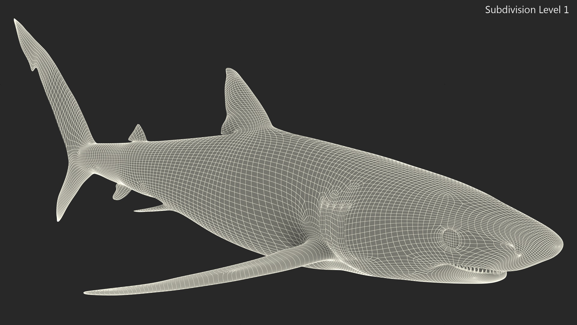 3D model Realistic Blue Shark