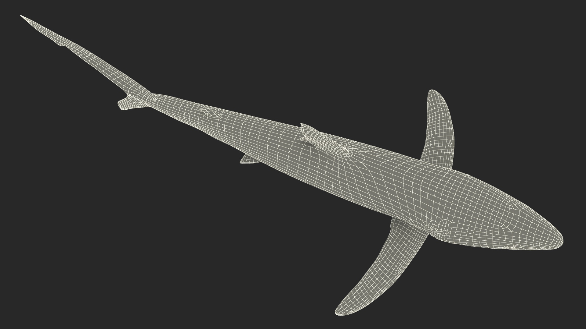 3D model Realistic Blue Shark