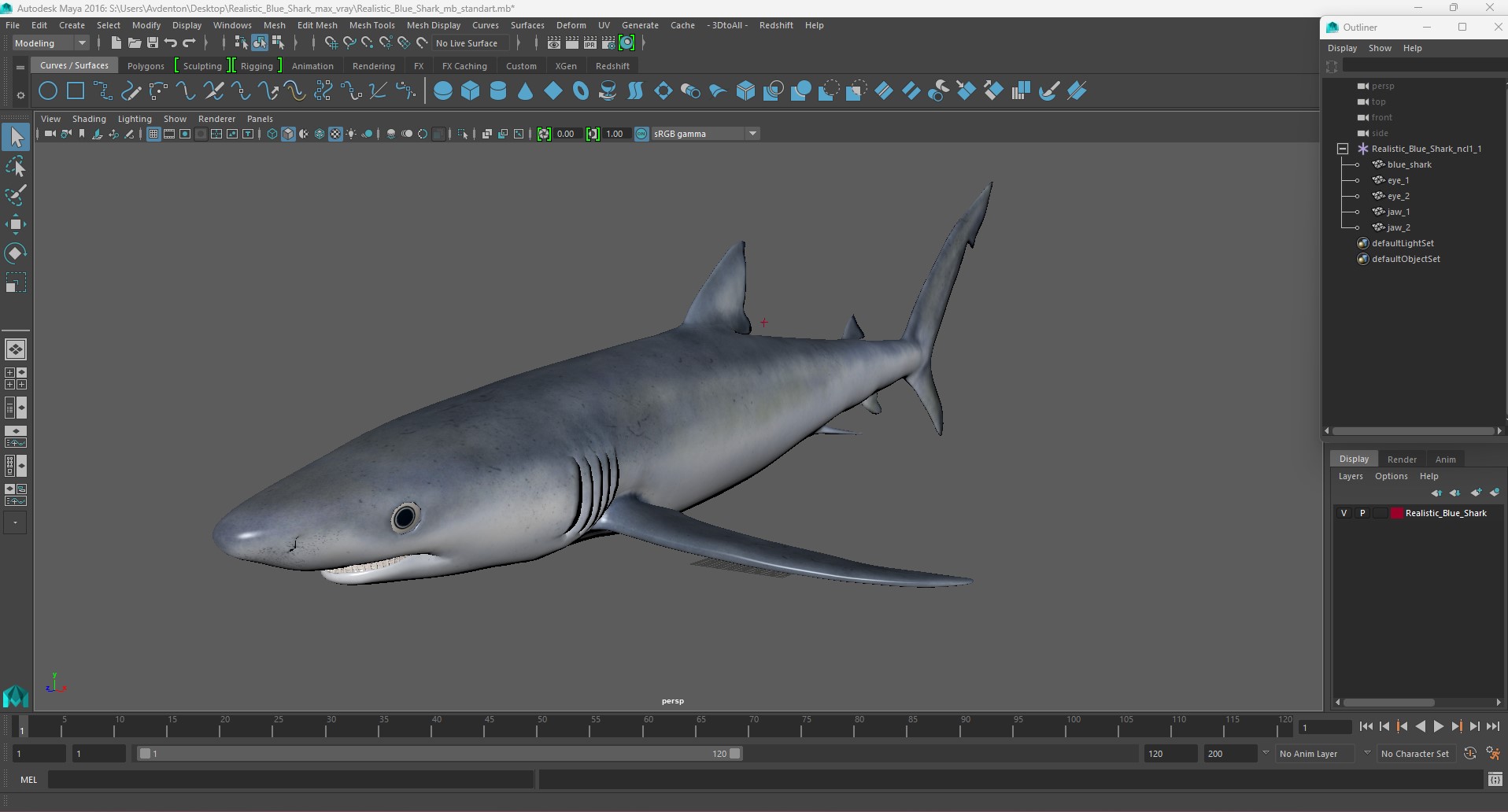 3D model Realistic Blue Shark