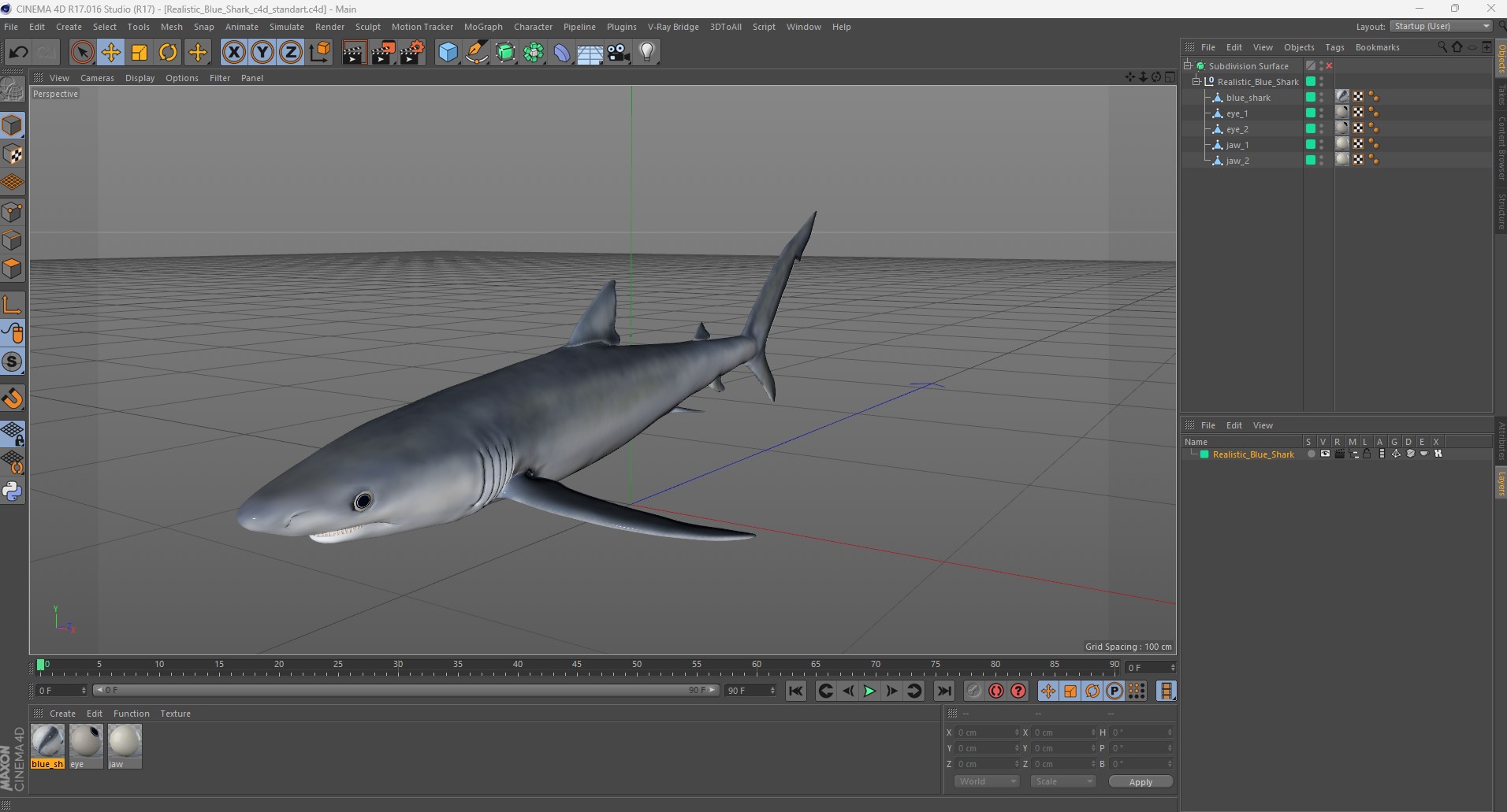 3D model Realistic Blue Shark