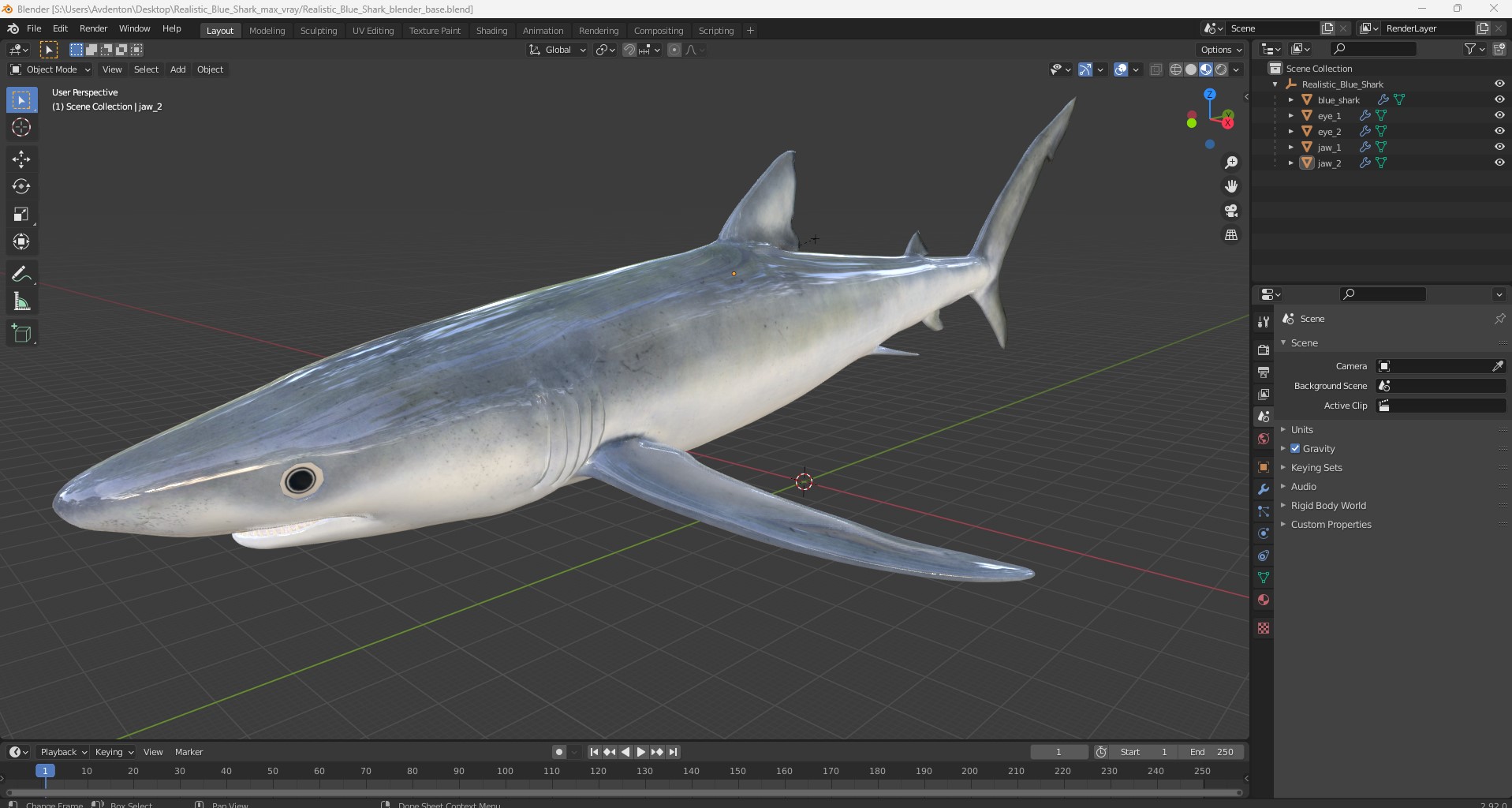 3D model Realistic Blue Shark