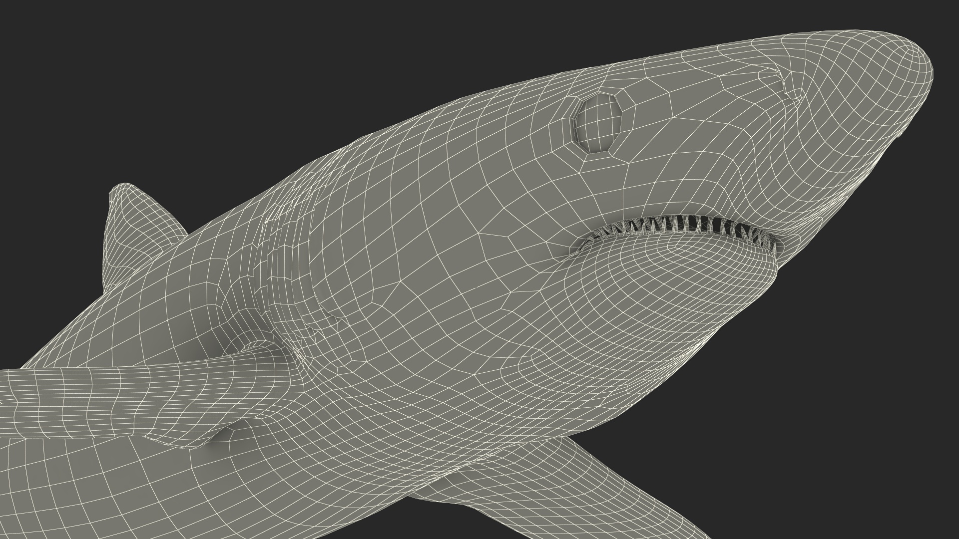 3D model Realistic Blue Shark