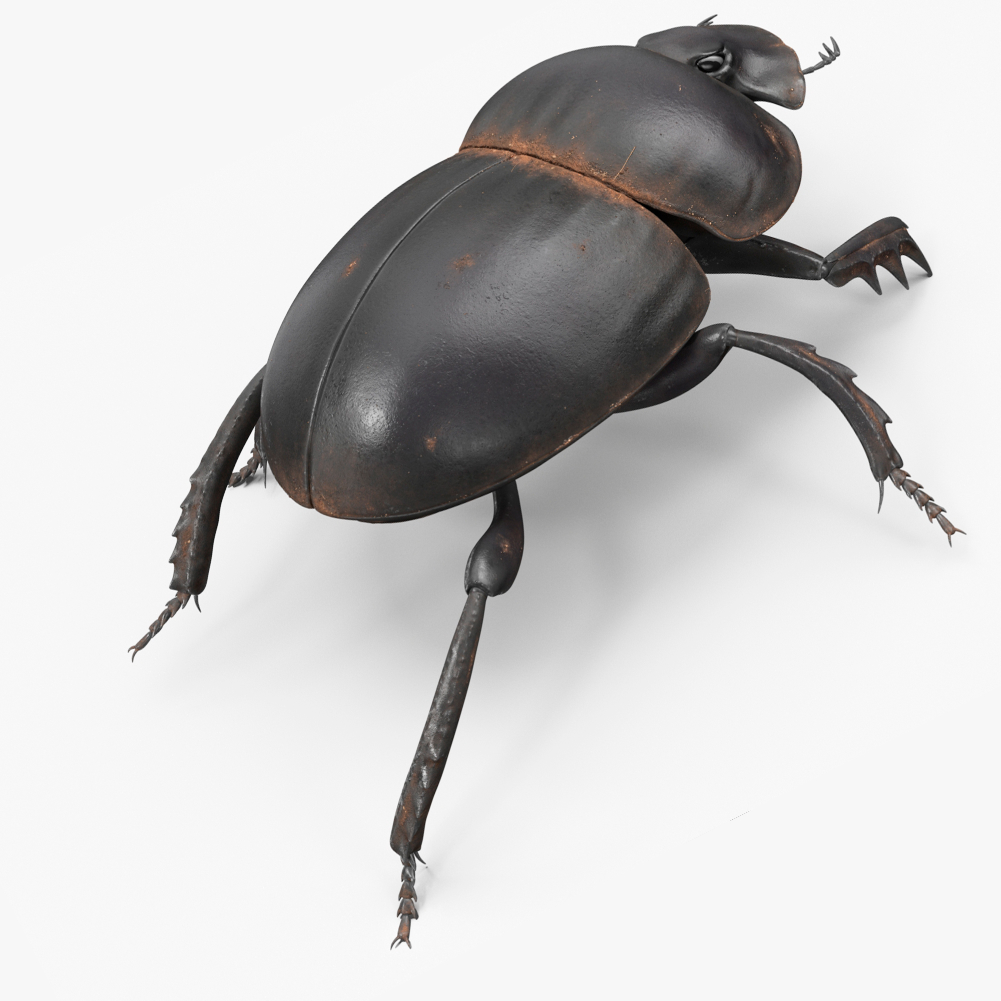 Mud Beetle Dirty Rigged for Cinema 4D 3D