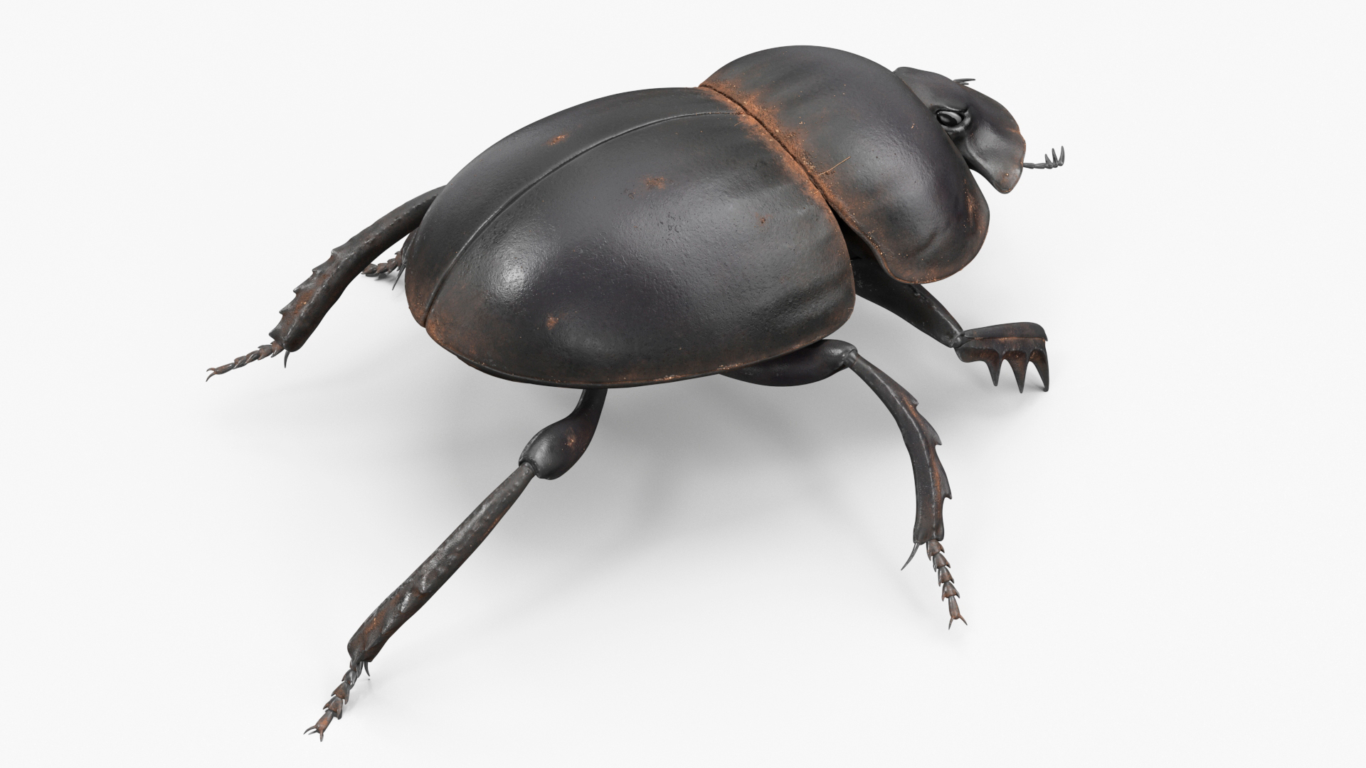 Mud Beetle Dirty Rigged for Cinema 4D 3D